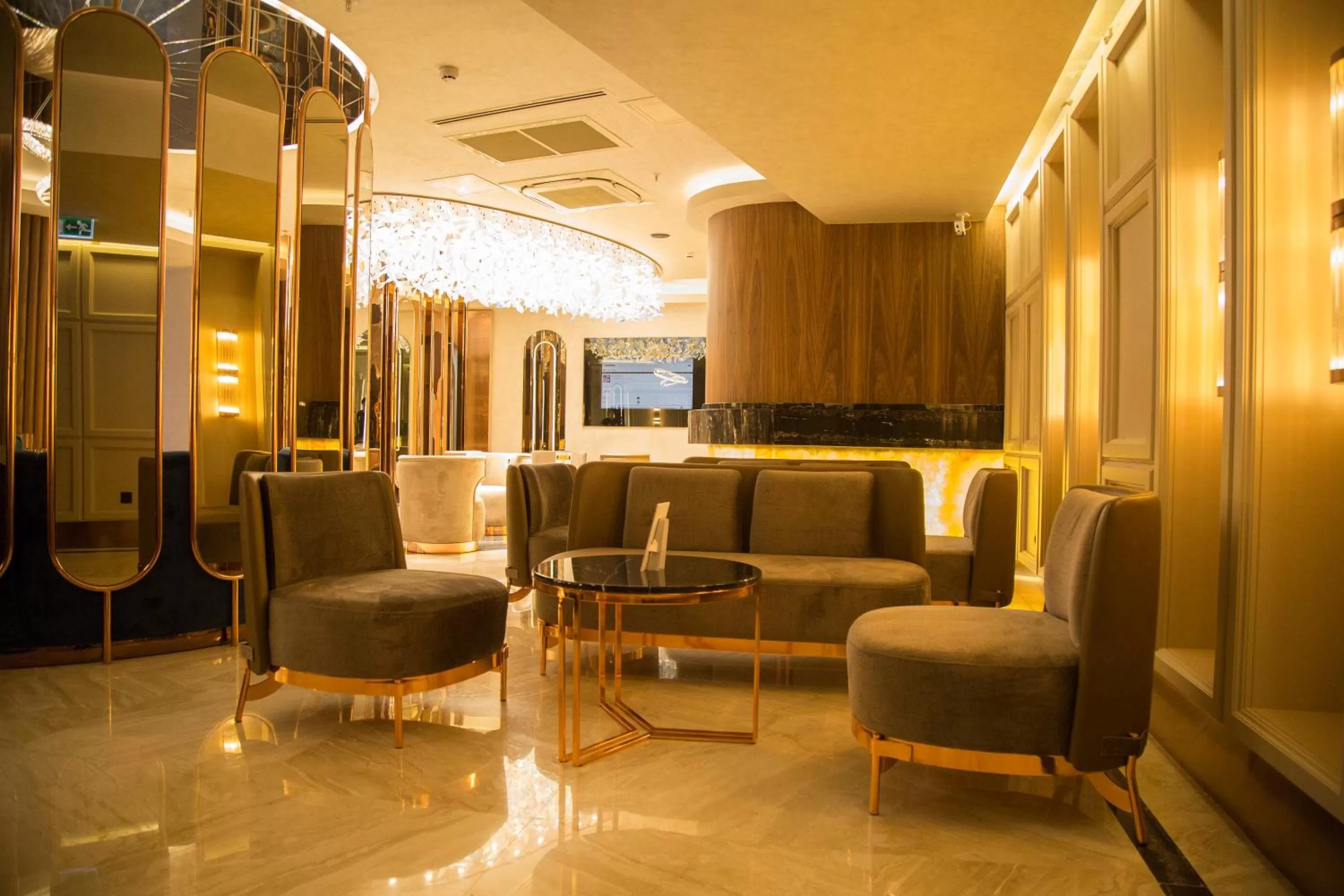 Lobby or reception in The Hotel Beyaz Saray & Spa - Special Category