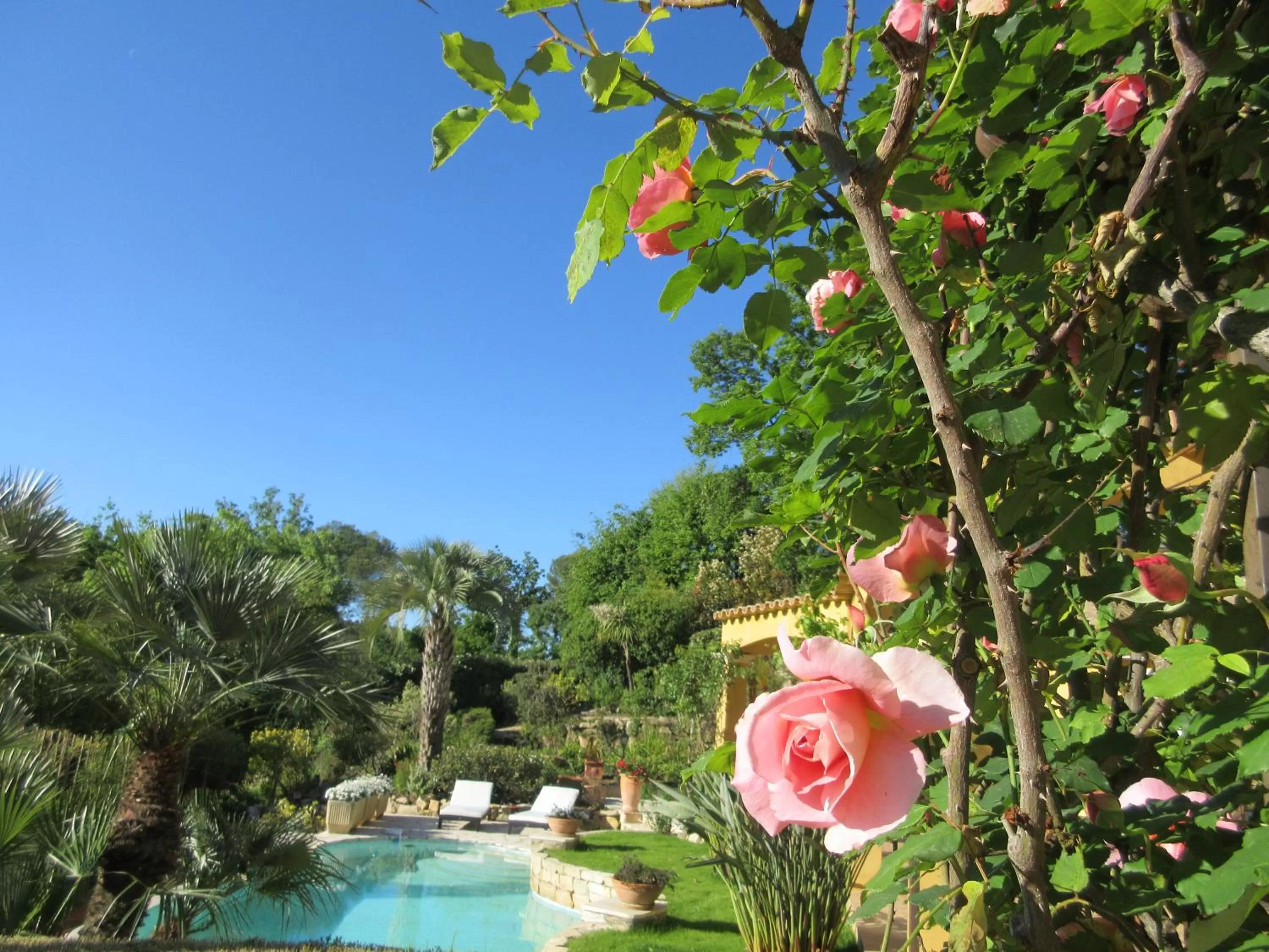 Natural landscape in La Dolce Vita Opio