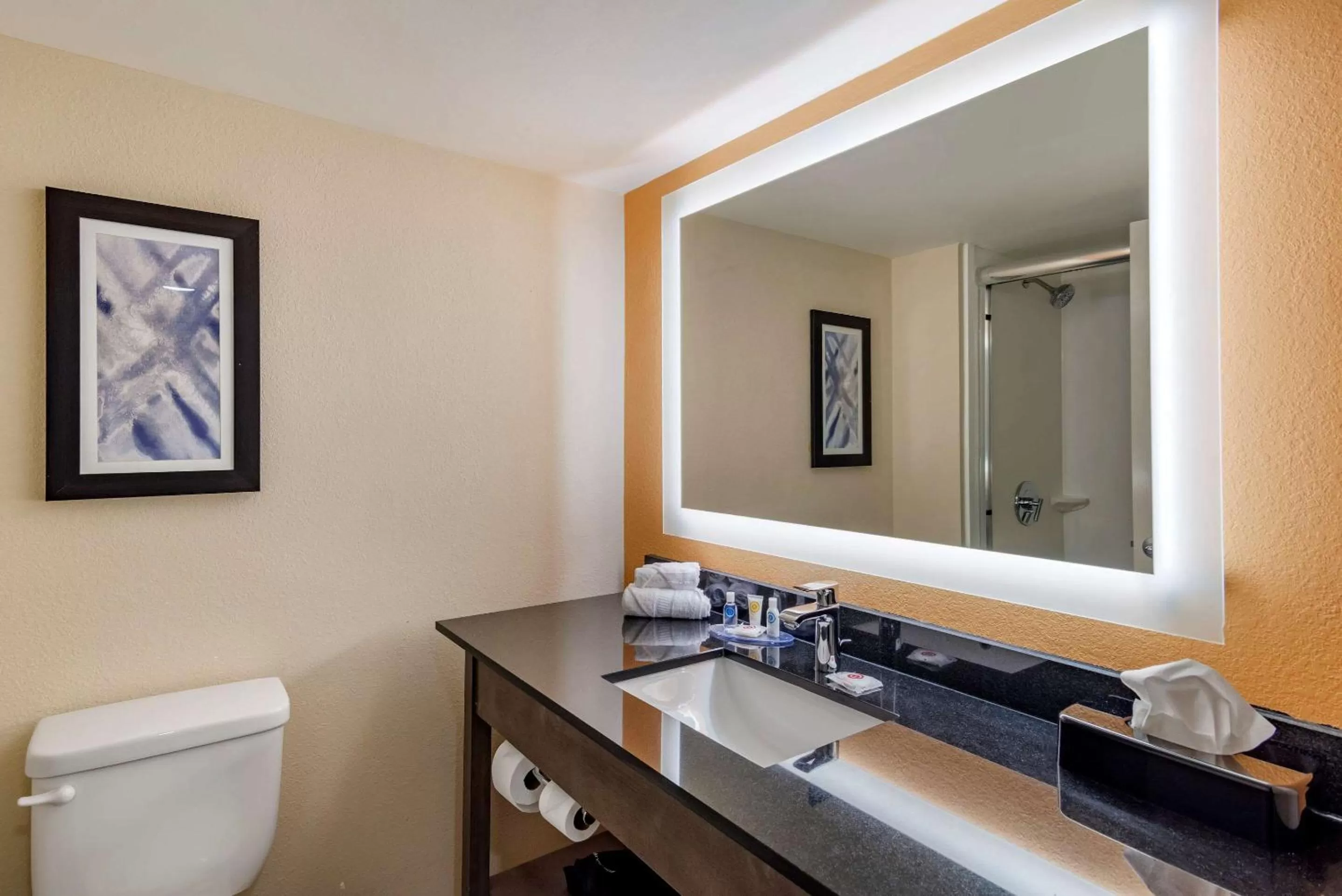 Bathroom in Comfort Suites Alpharetta-Roswell - Atlanta Area