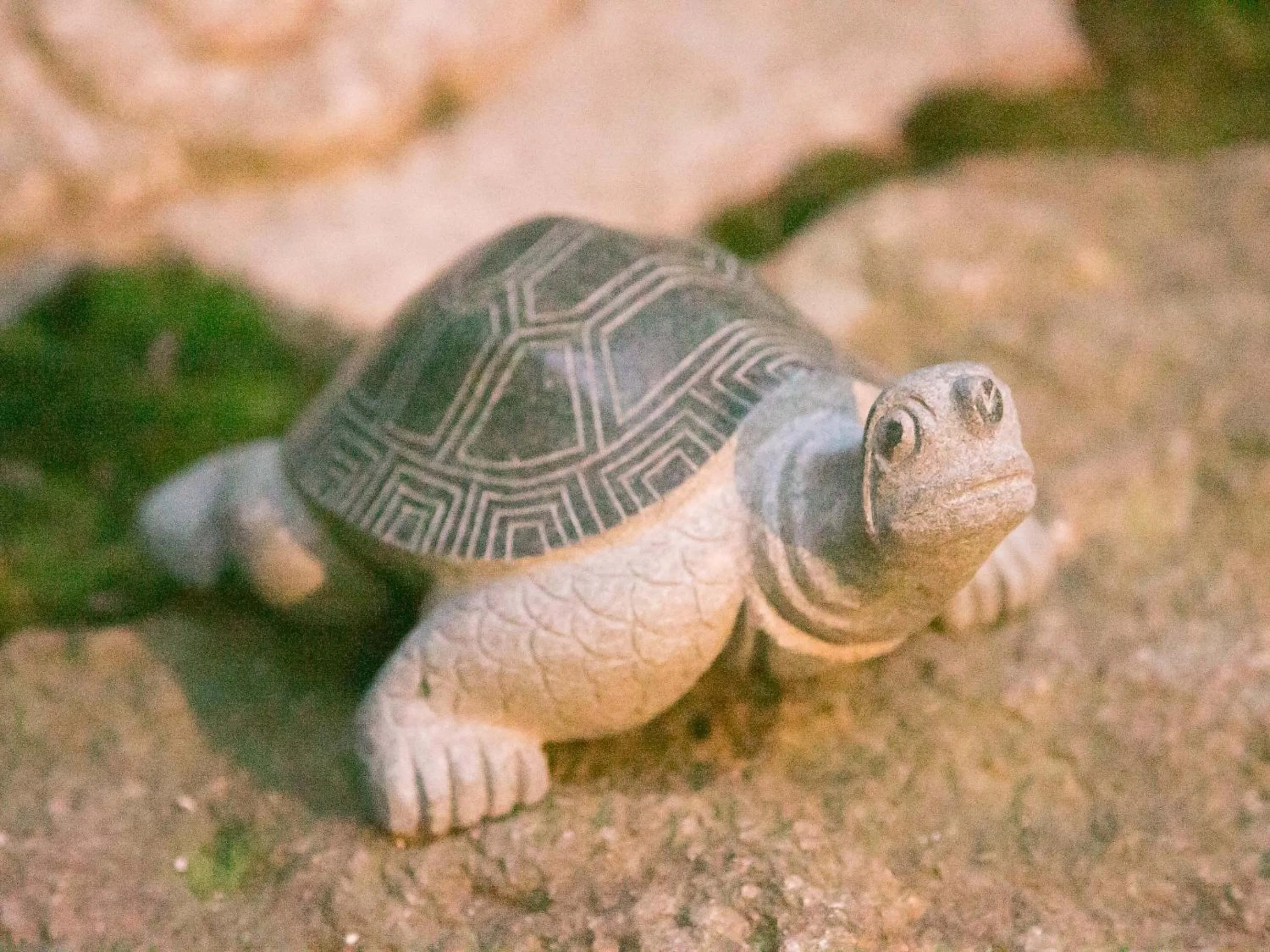 Area and facilities in Guesthouse HANA Nishijin