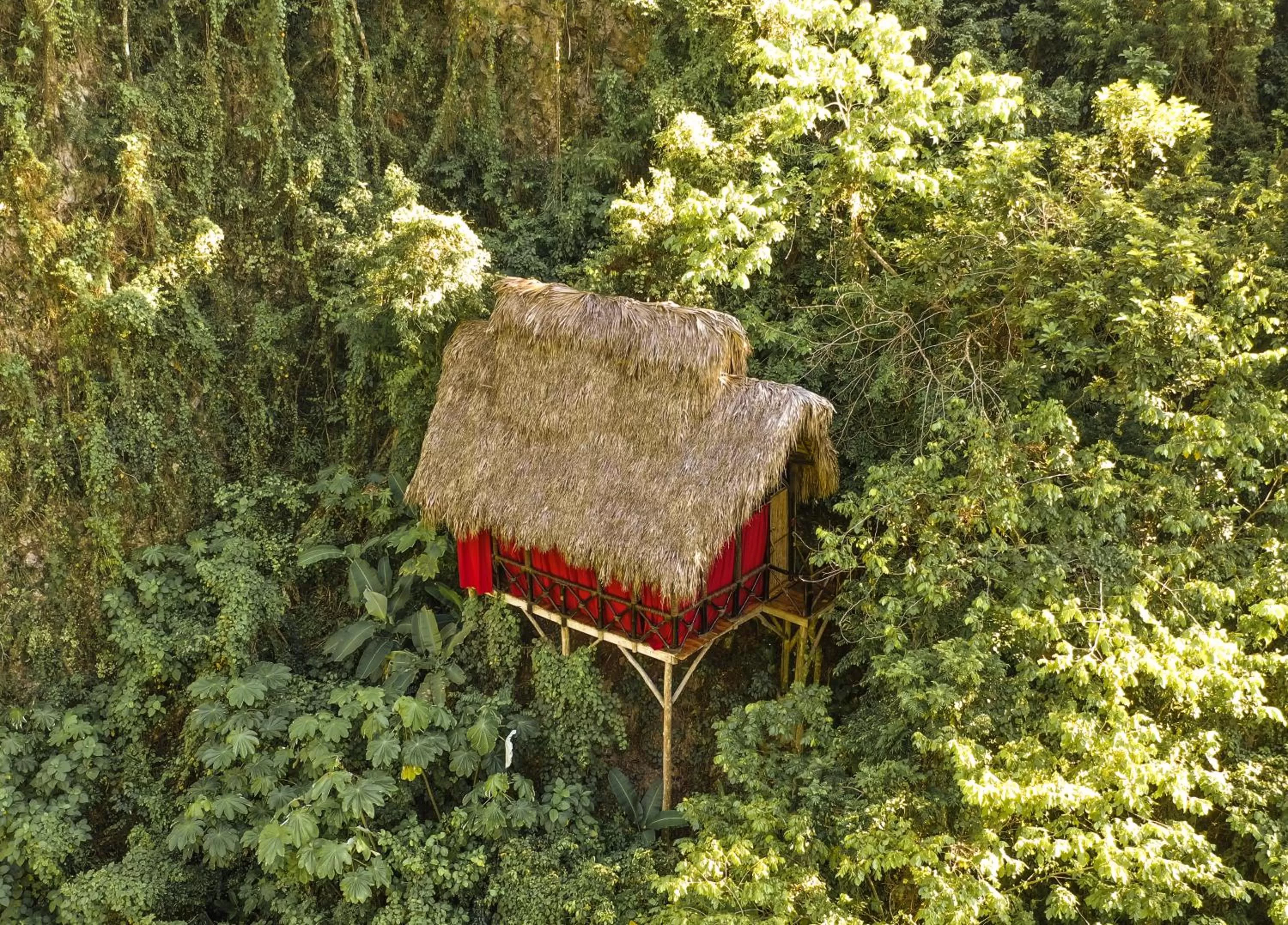 Dominican Tree House Village