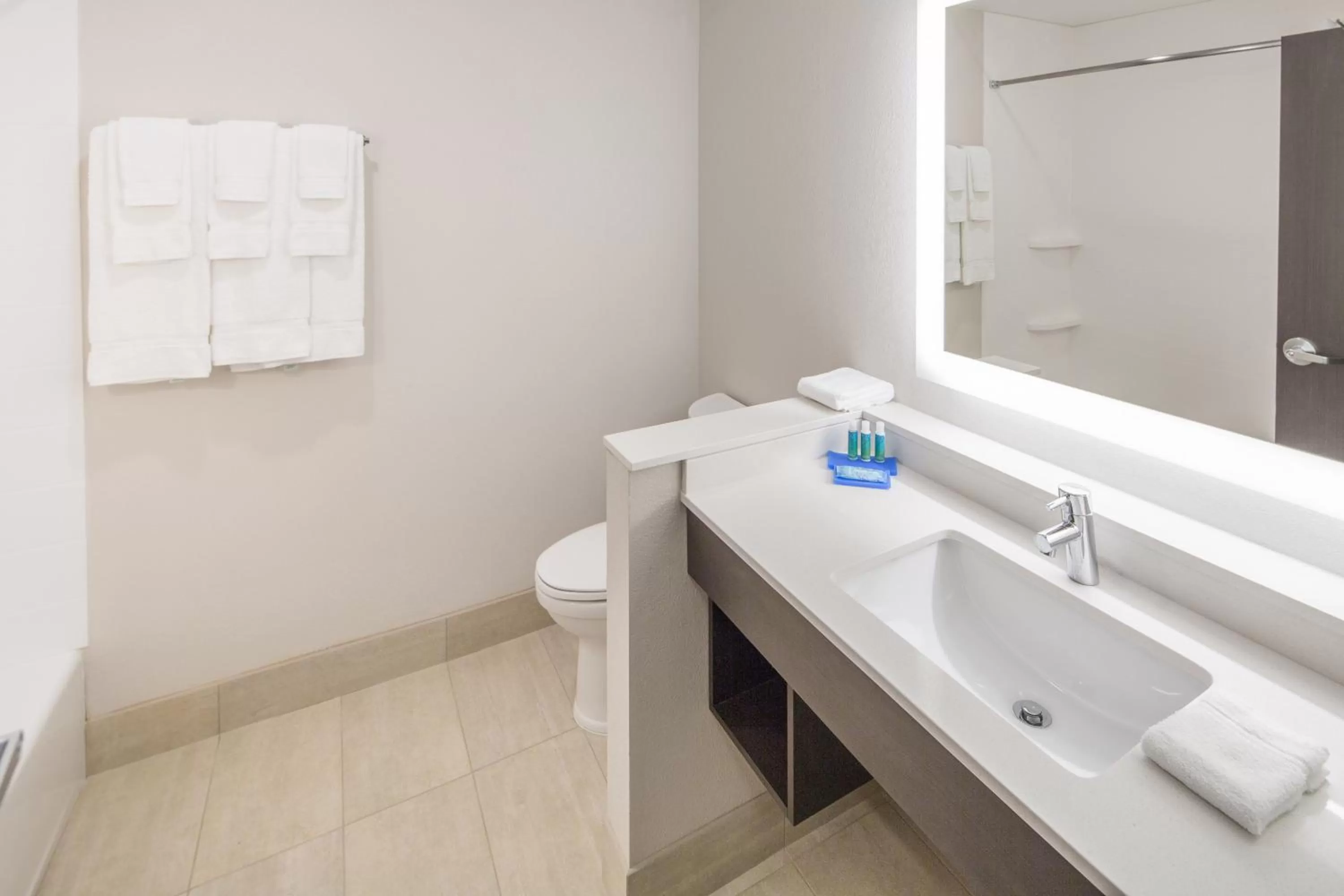 Bathroom in Holiday Inn Express & Suites - Indianapolis NW - Zionsville by IHG