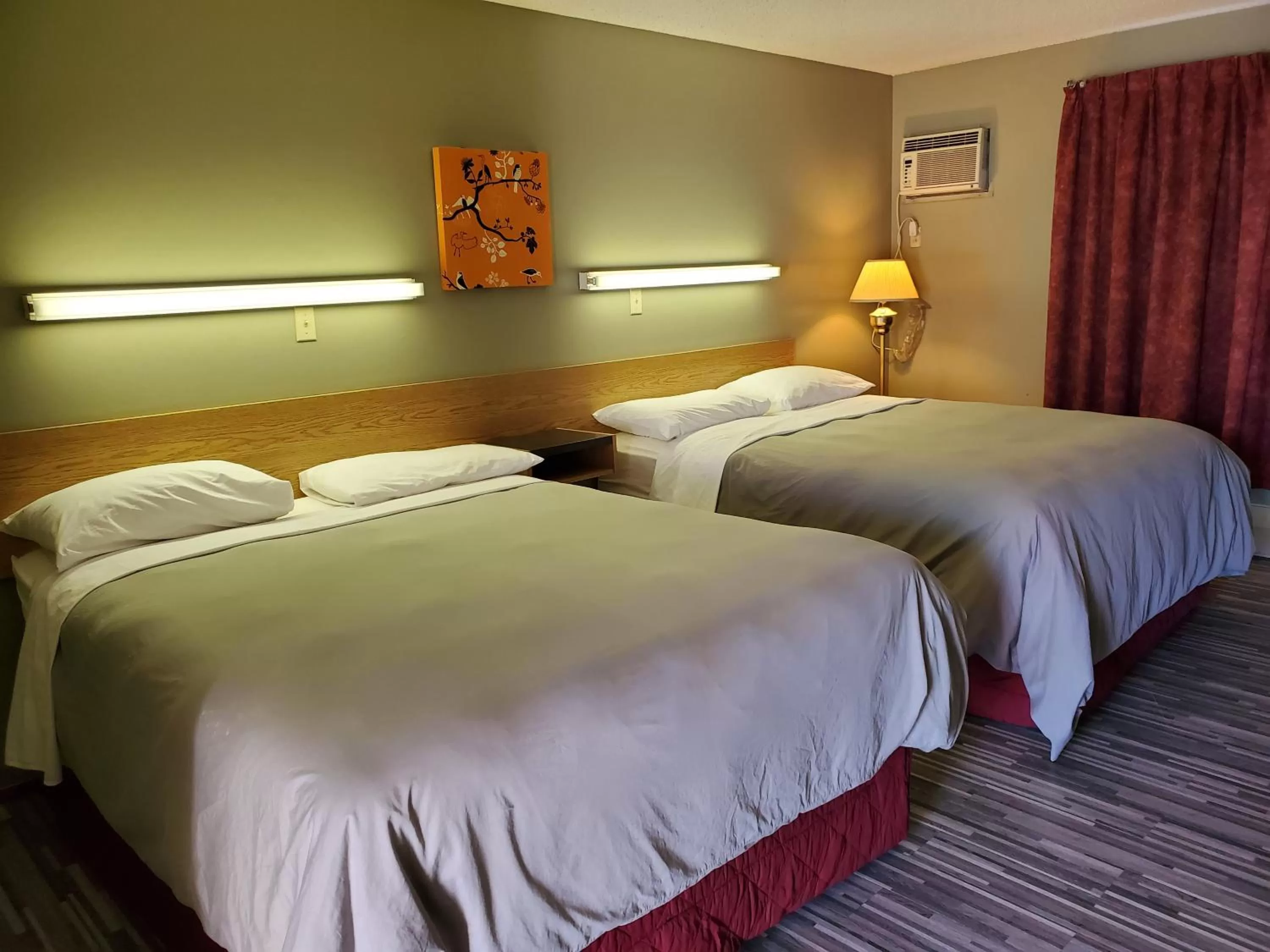 Bed in Stars Inn - Motel