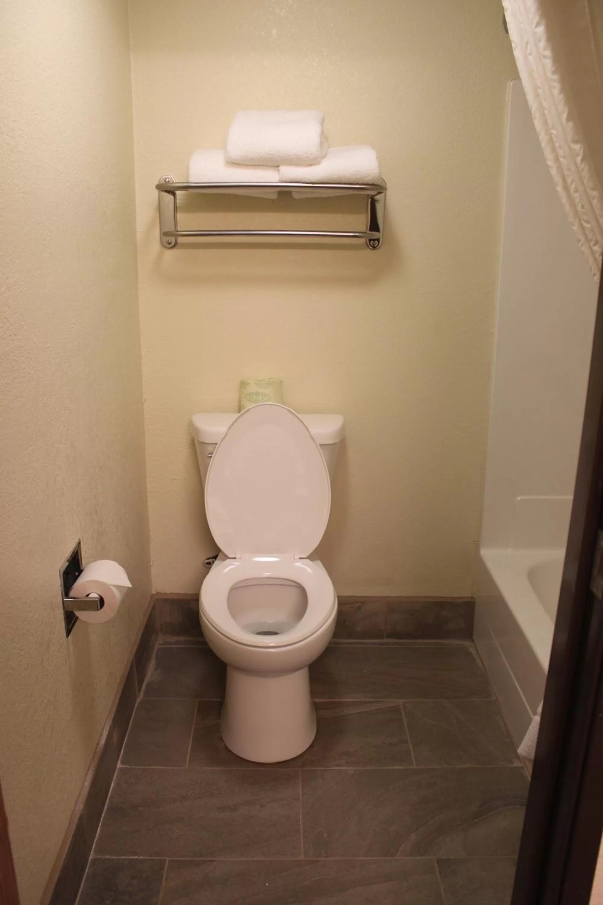 Toilet in AmericInn by Wyndham West Burlington