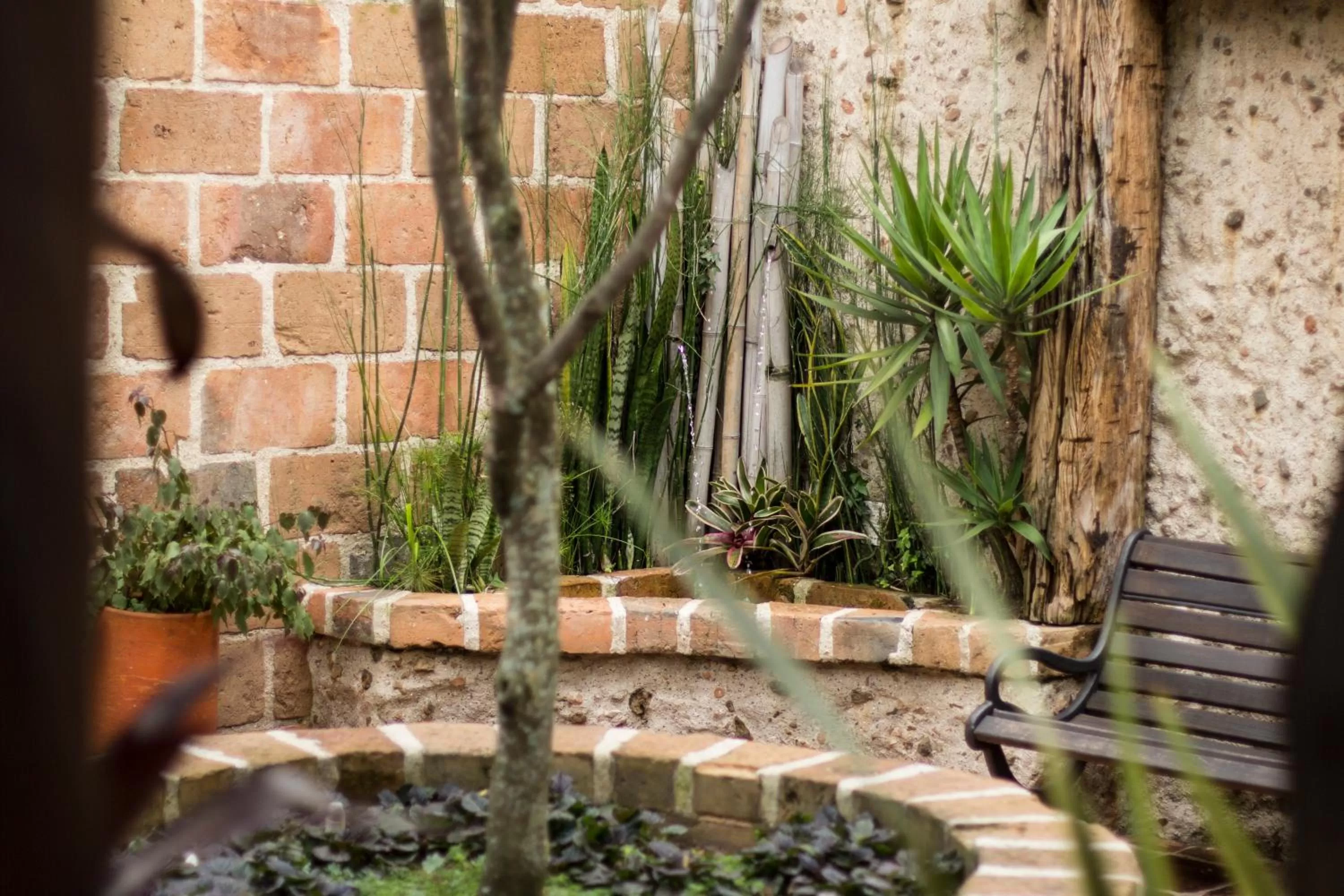 Patio in Casa Del Reloj