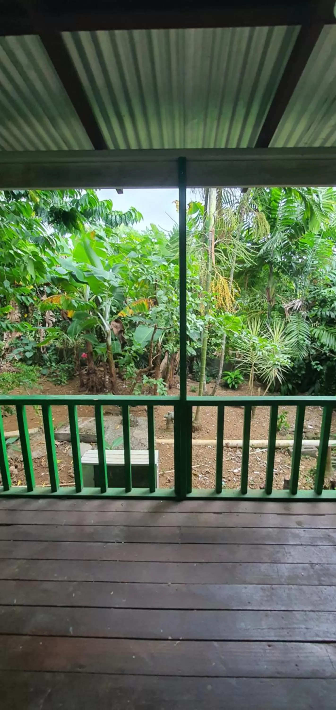 Garden in Lynn's Getaway Hotel