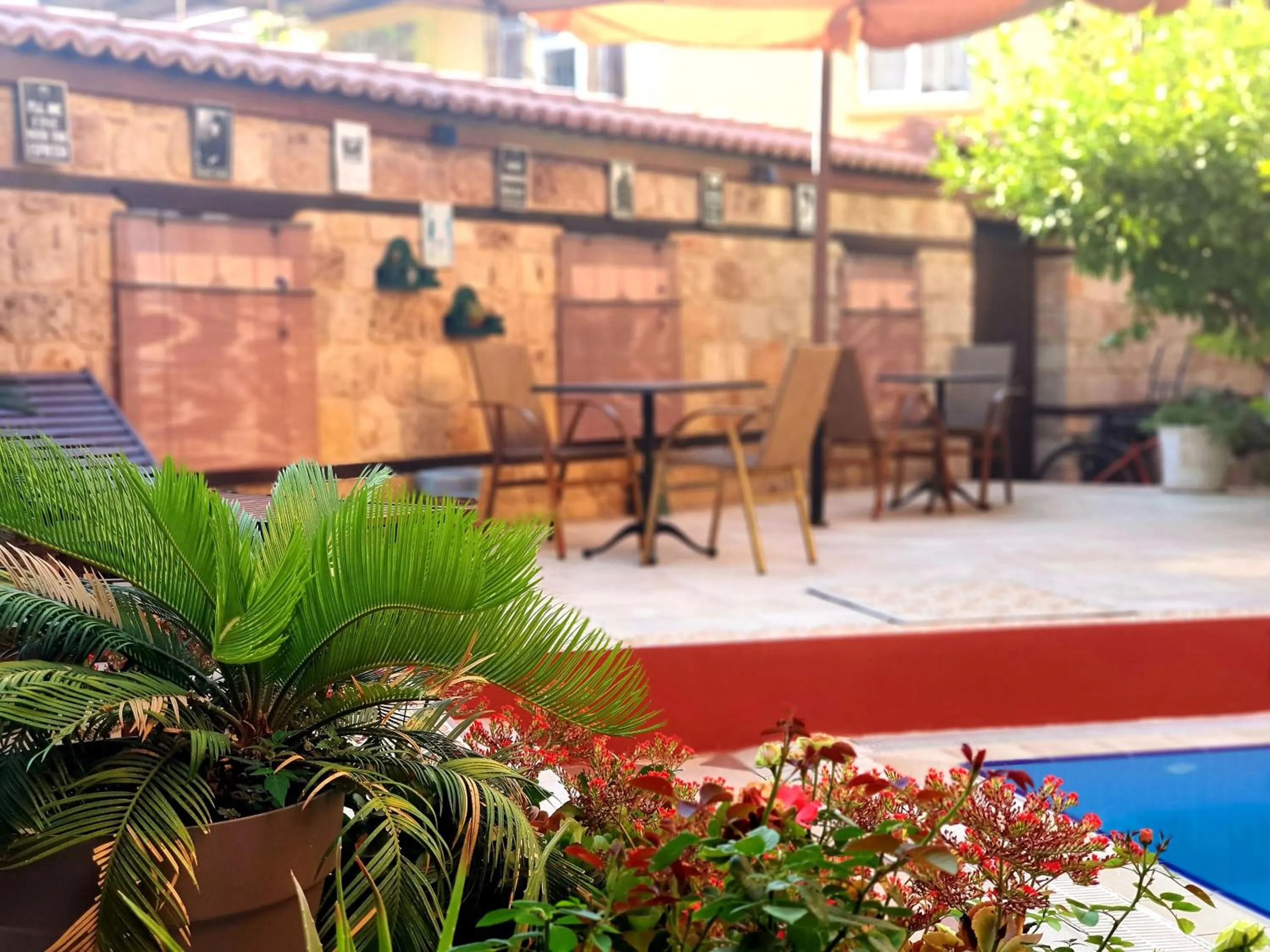 Patio in Eski Masal Hotel - Special Class