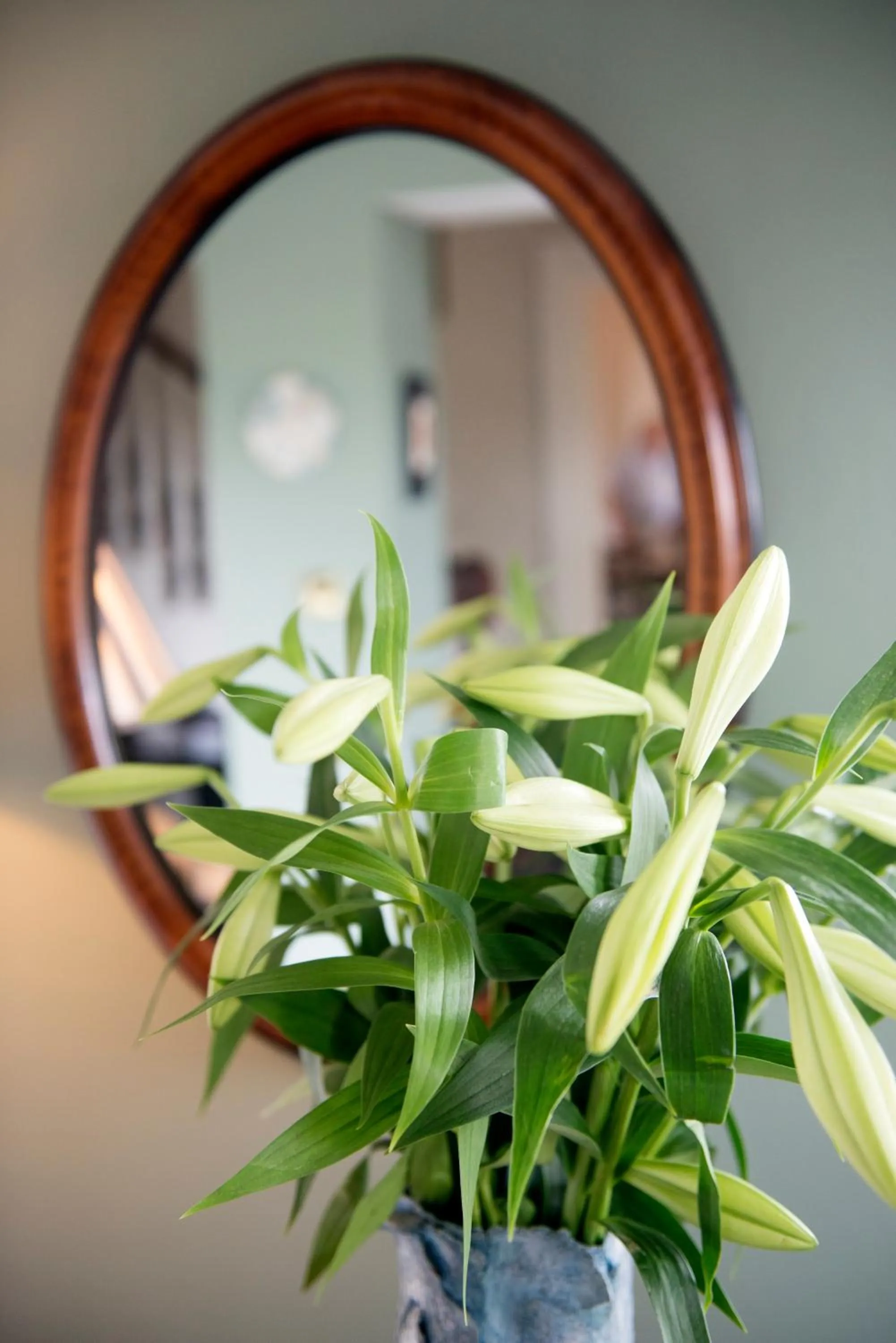 Lobby or reception in Shelleven Guest House