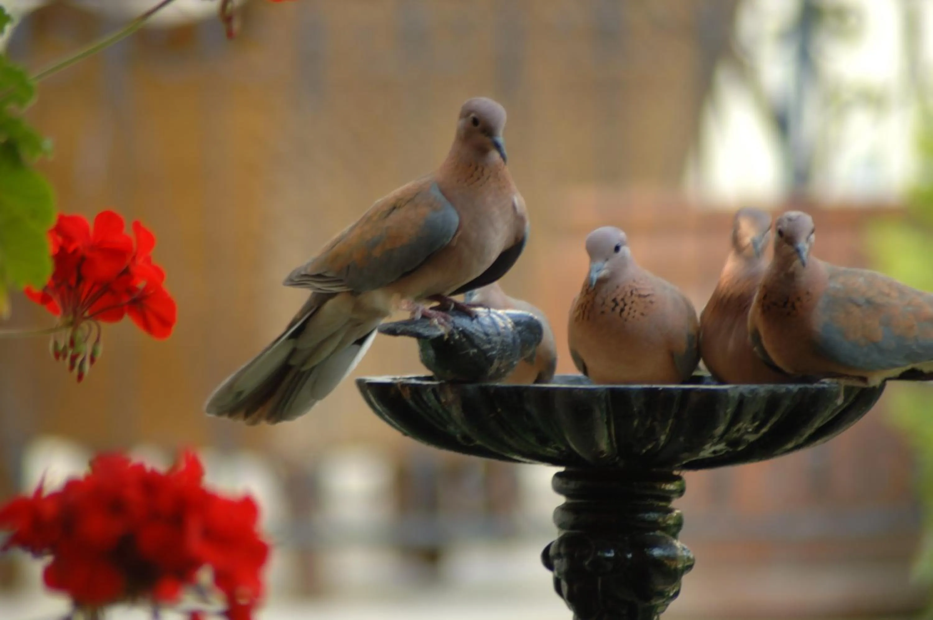 Other in Tuvana Hotel
