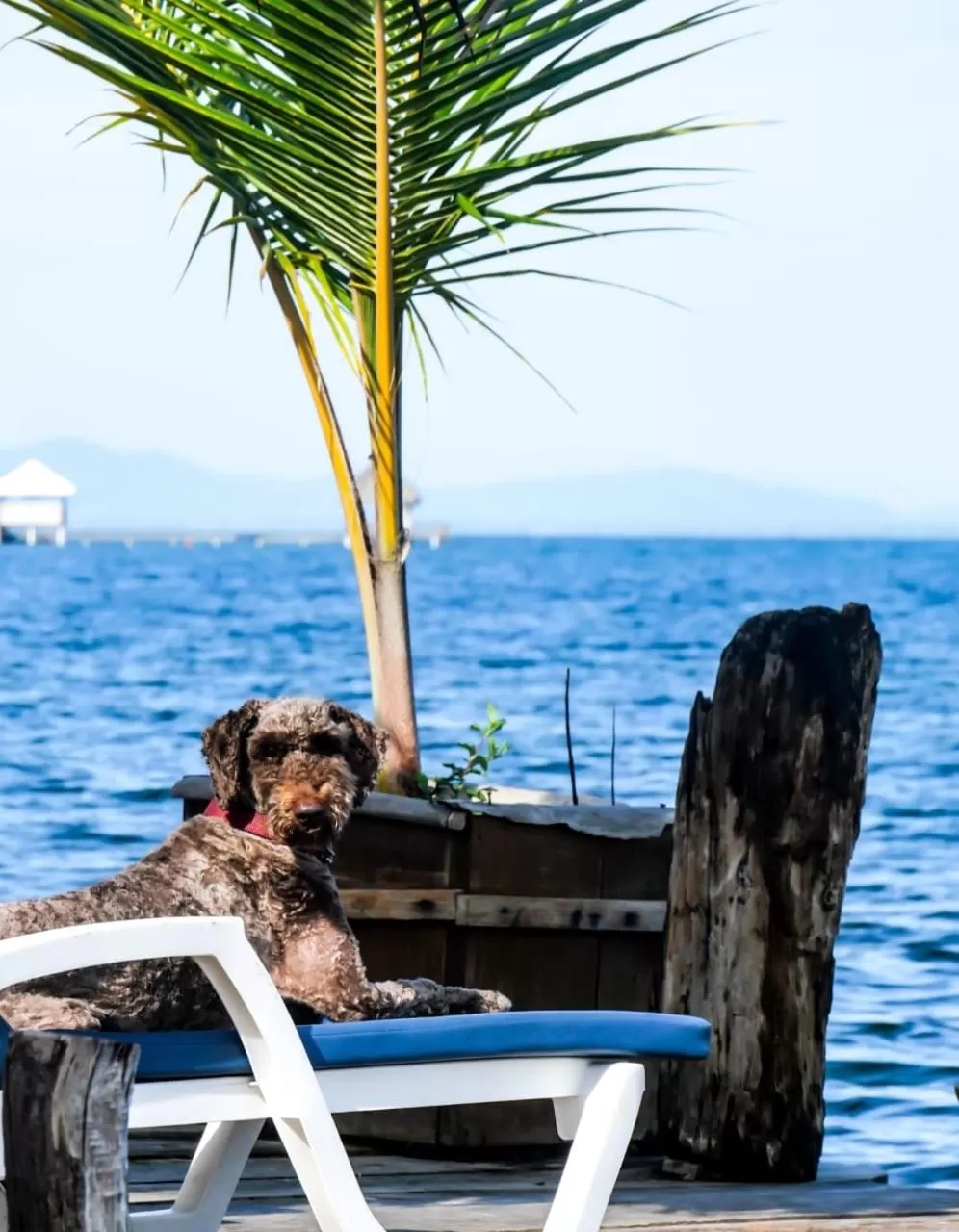 Street view in Barrbra BnB Over The Sea
