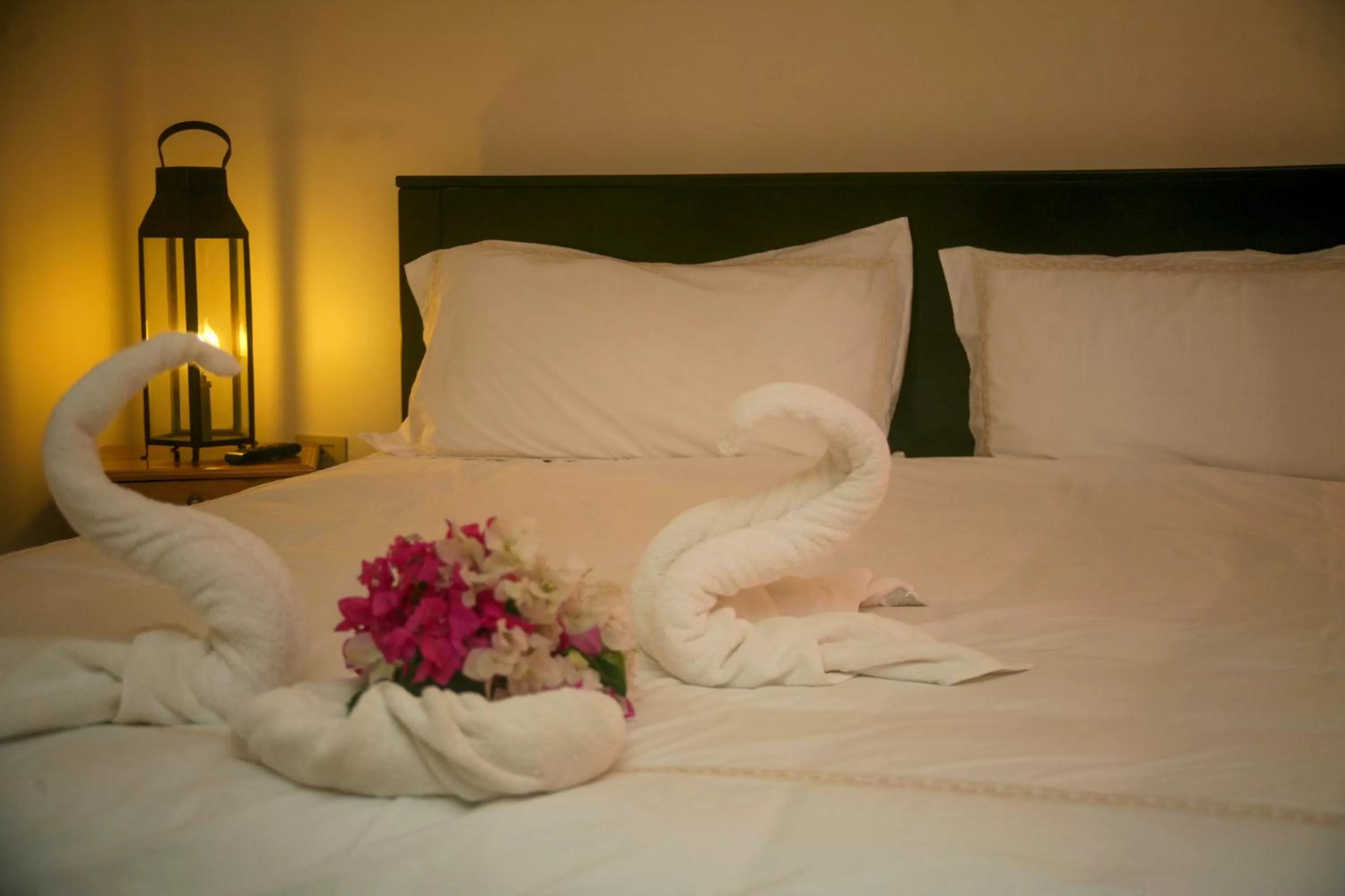 Bed in Hotel La Estación