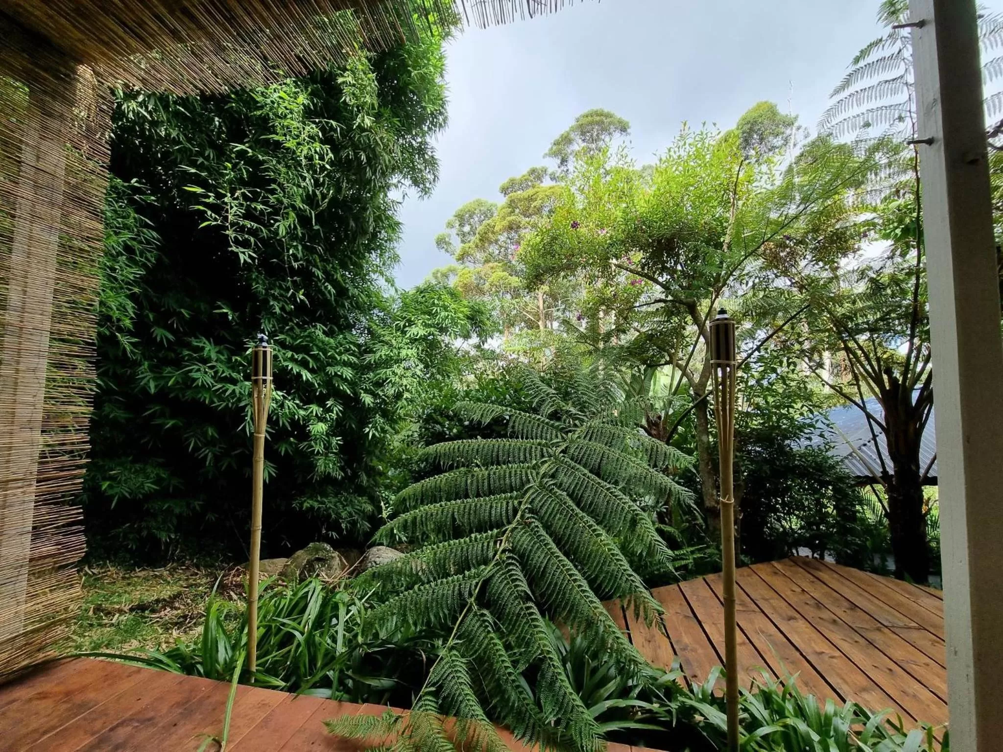 Day in Rahasia Rainforest Retreat
