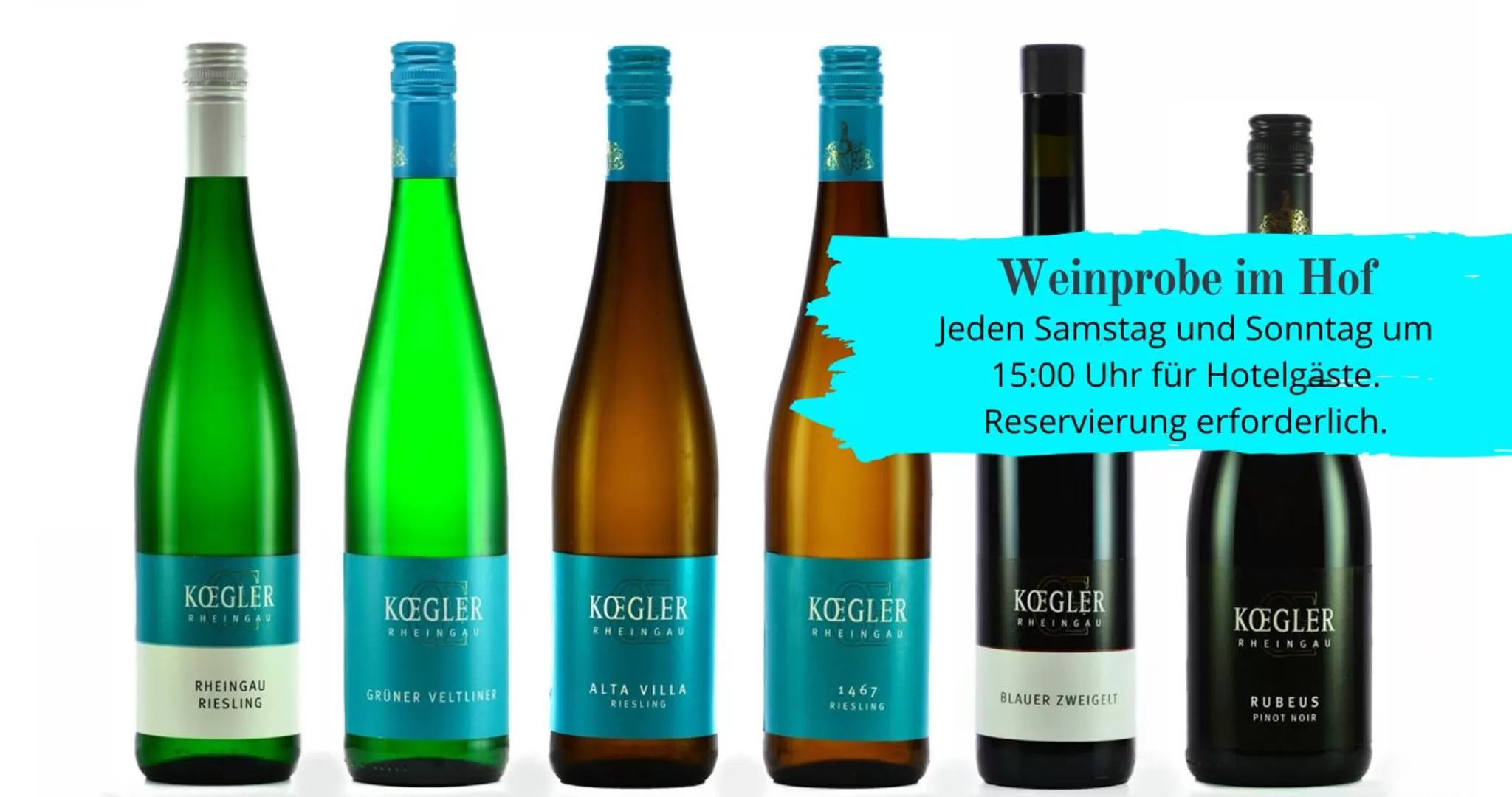 Activities in Wein Hotel Koegler