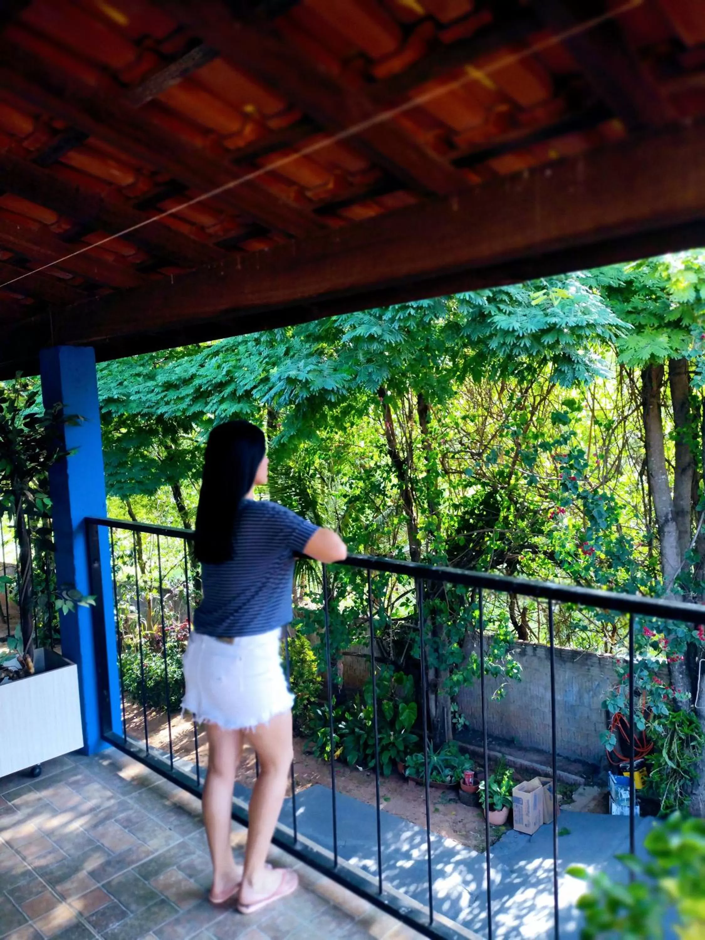 Suits - Canto do sabia