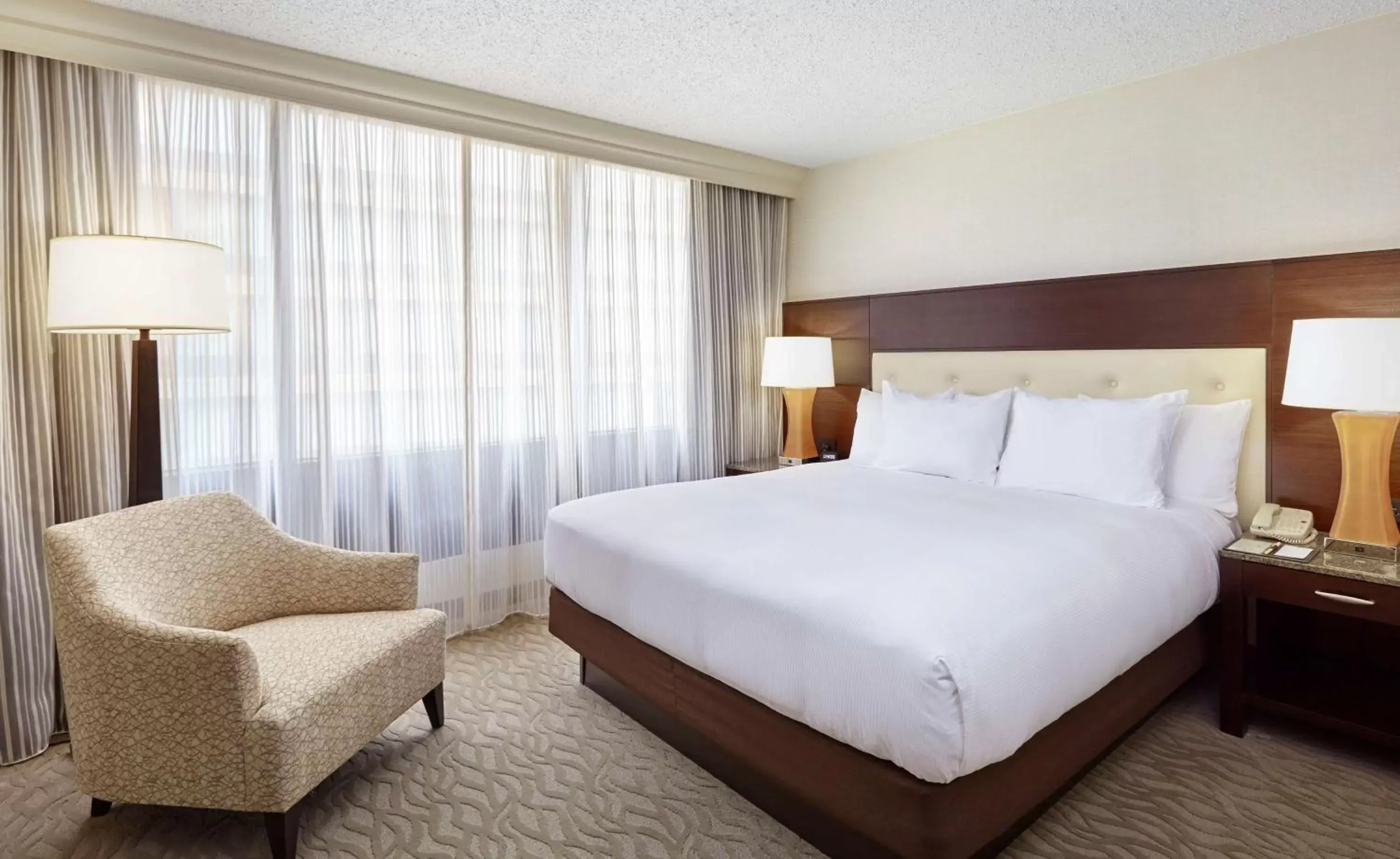 Queen Junior Suite with One Queen Bed Disability Access in DoubleTree by Hilton Washington DC – Crystal City Queen Junior Suite with One Queen Bed Disability Access in DoubleTree by Hilton Washington DC – Crystal City