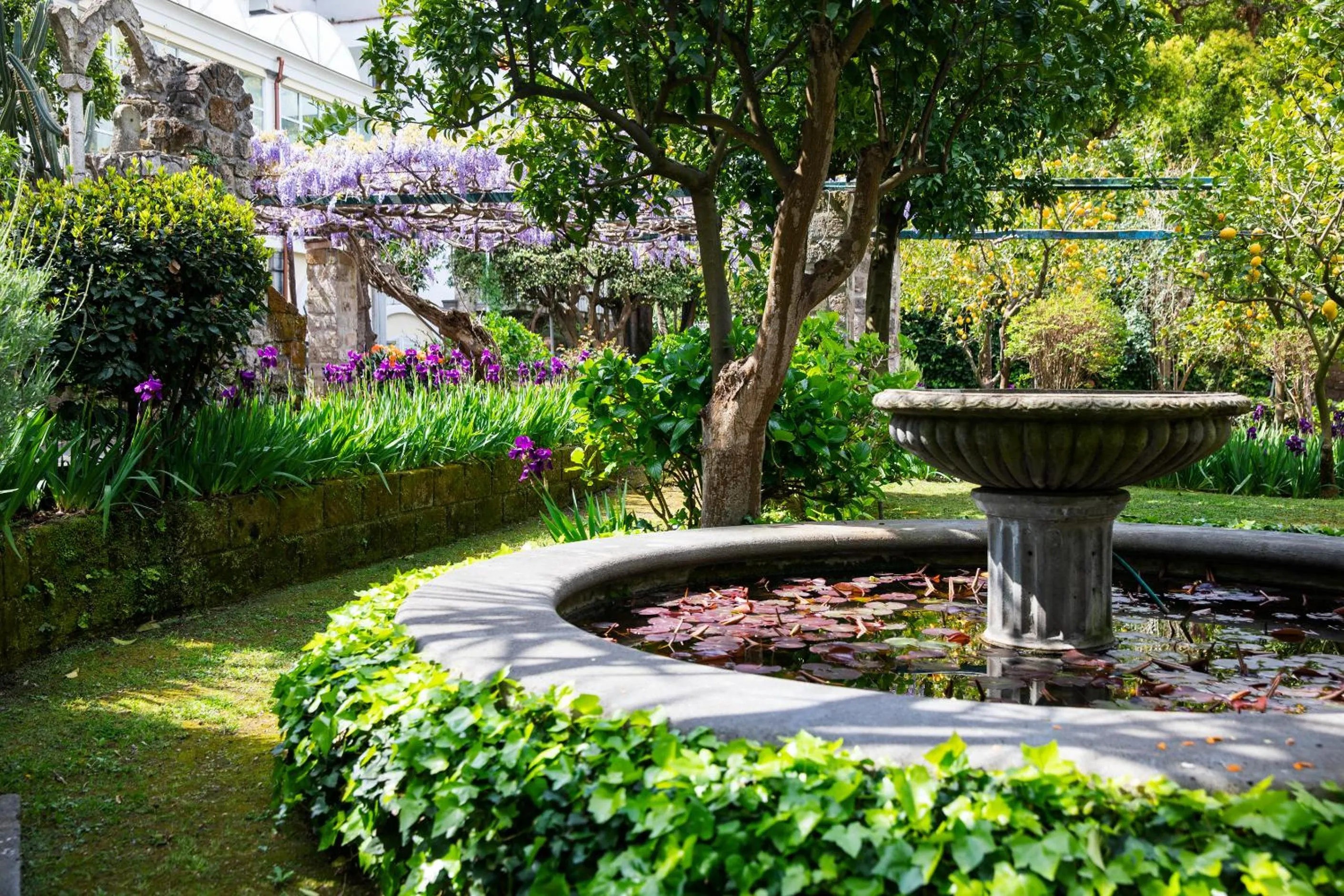 Garden in Grand Hotel Cocumella