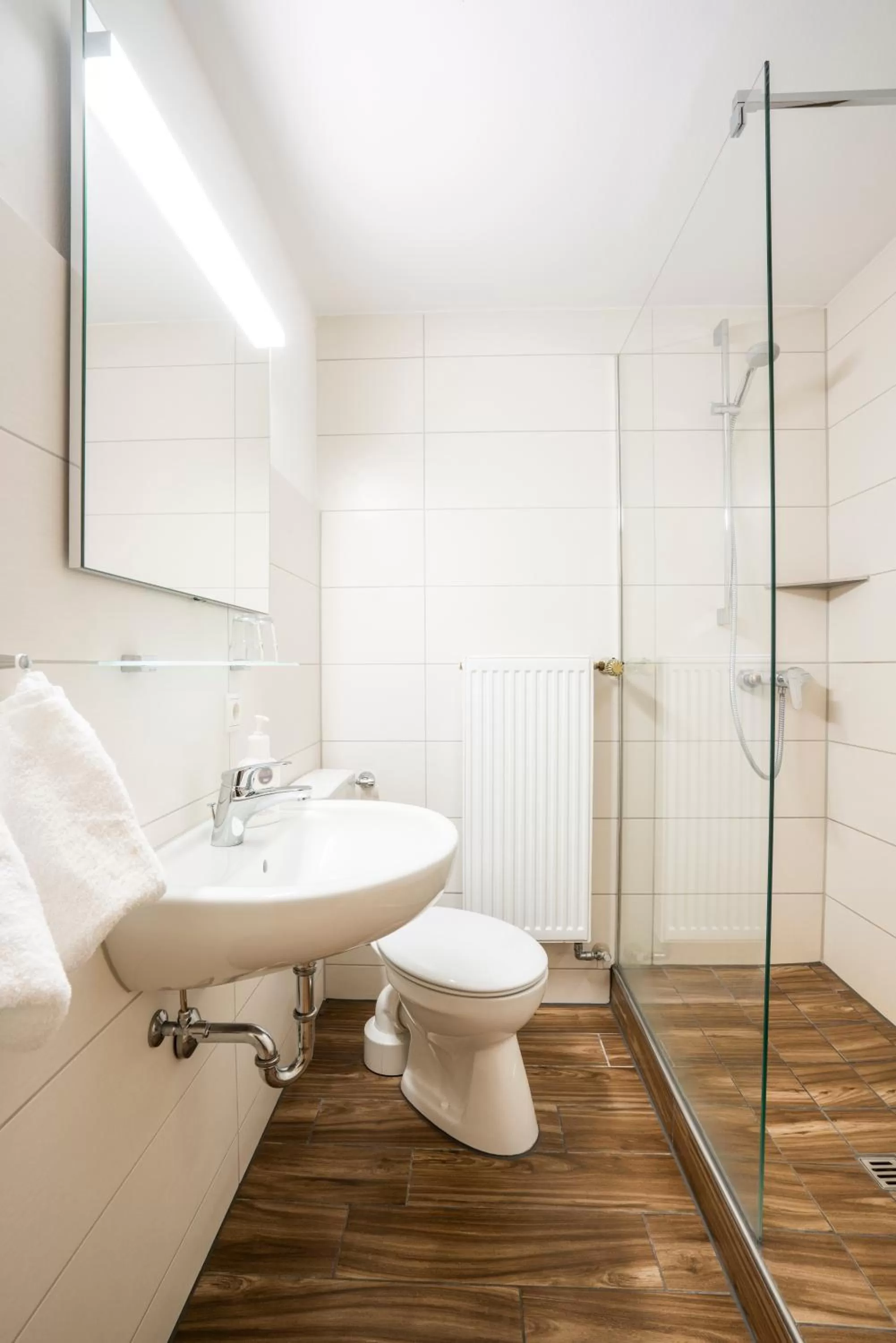 Bathroom in Bamberg Inn