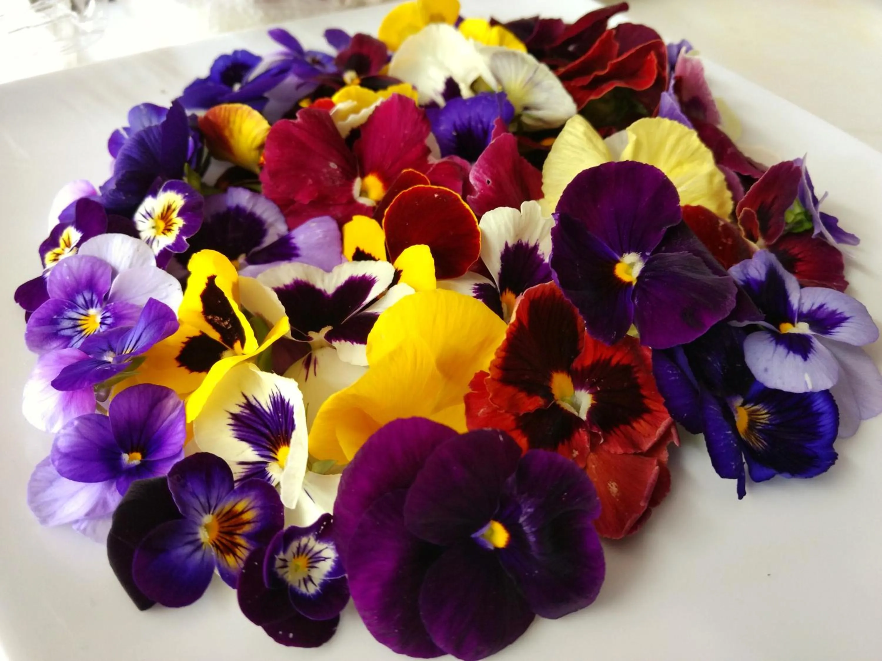 Food in Hotel Las Puertas de Tepoztlan