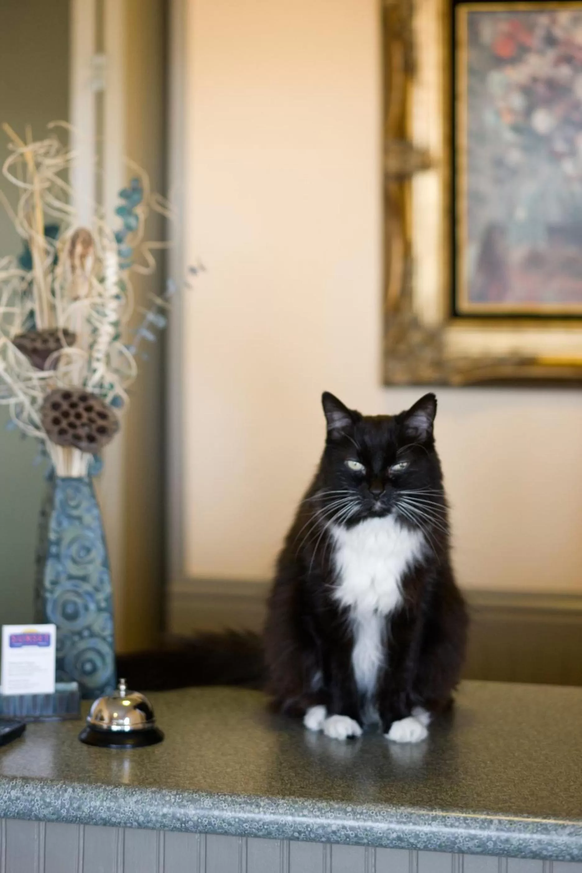 Sunset Motel Moriarty