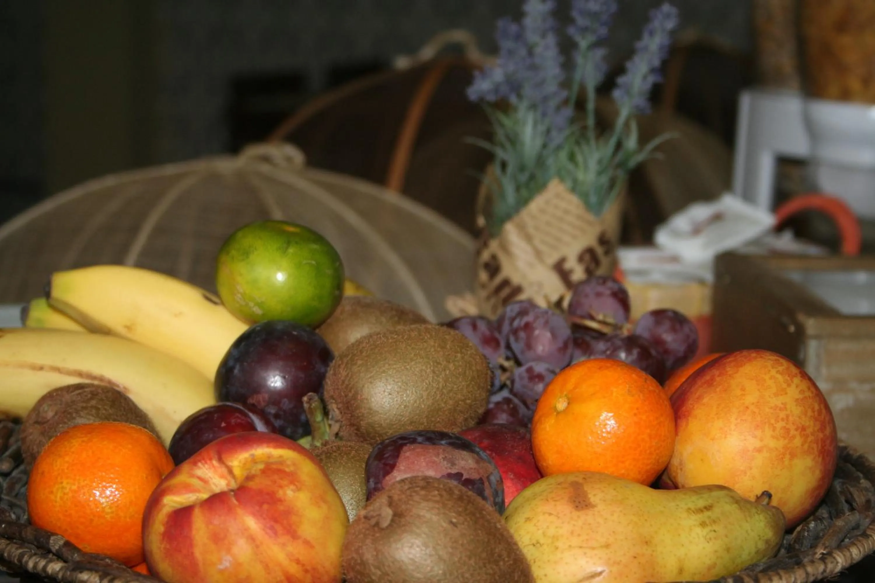 Food close-up in Hotel del Mar
