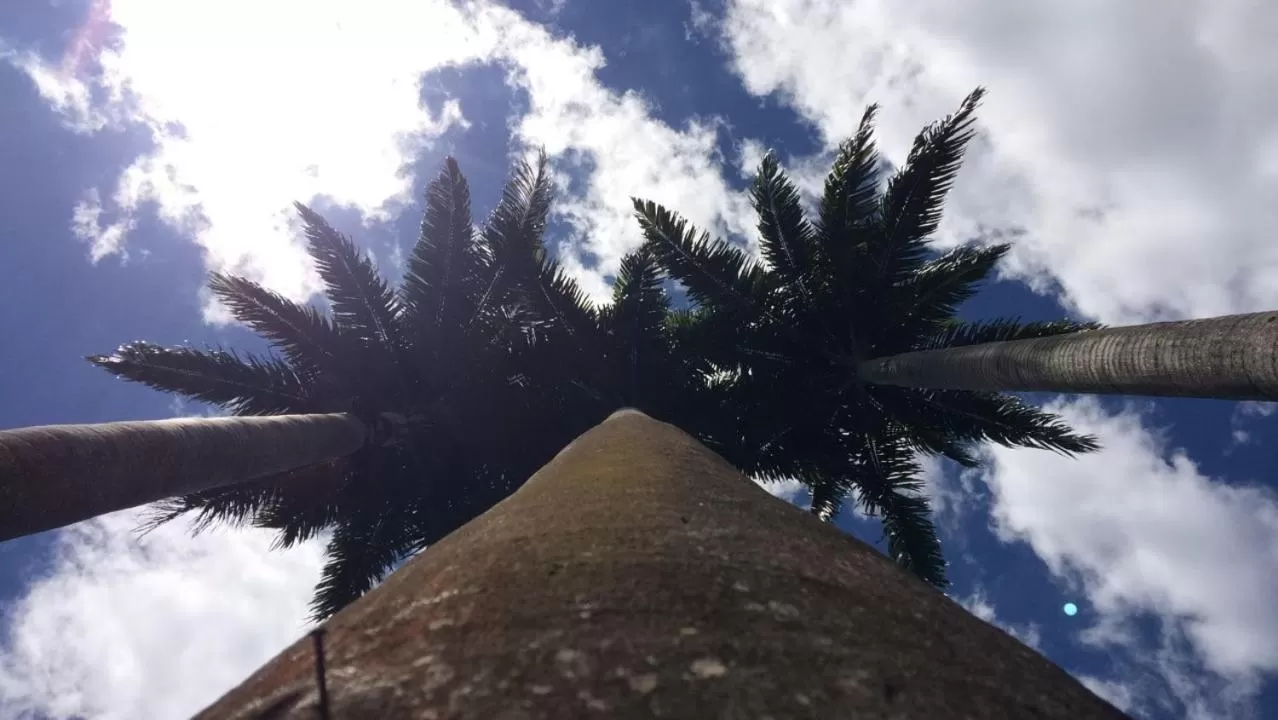 Pousada Cantinho do Mundo