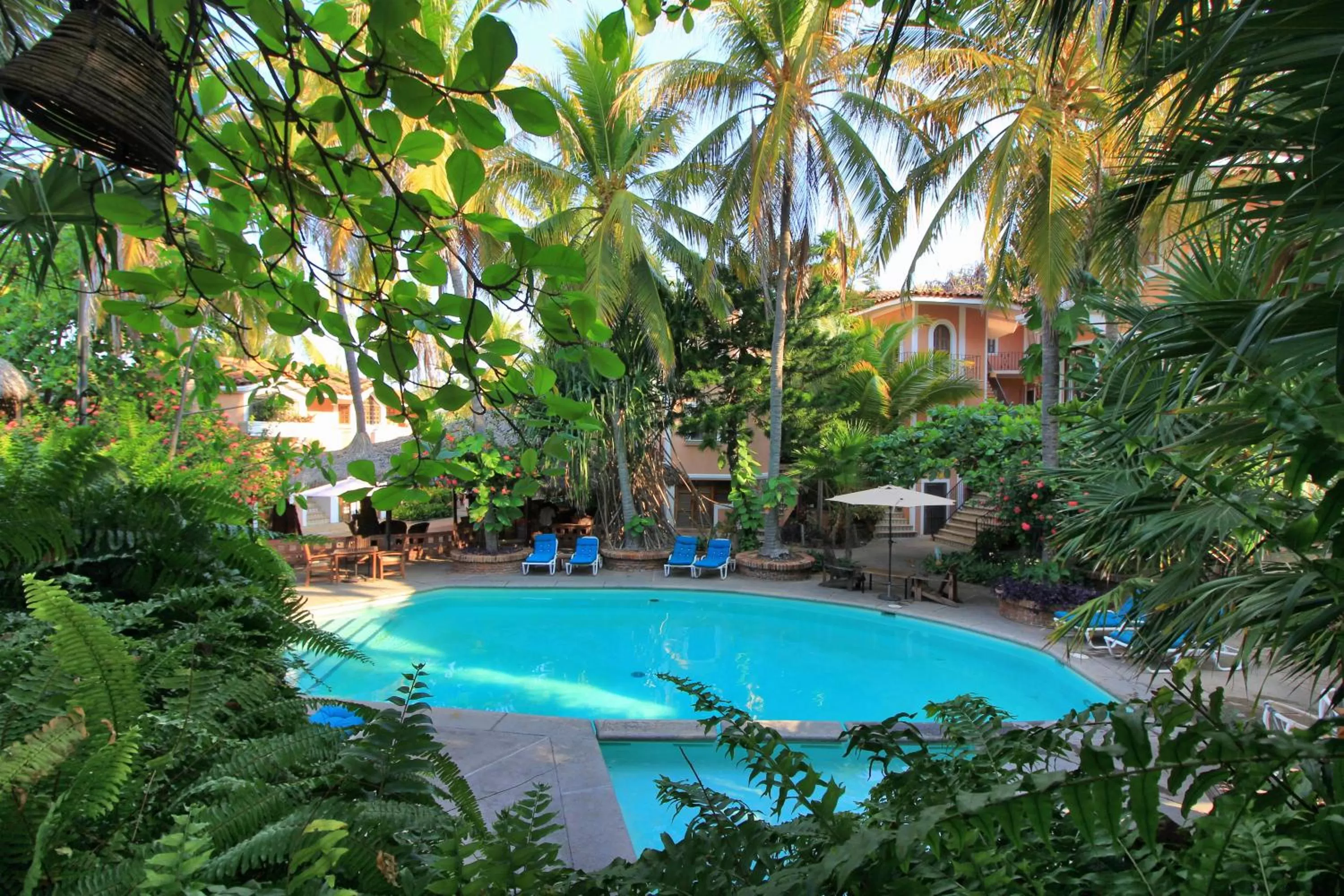 Garden in Hotel Santa Fe