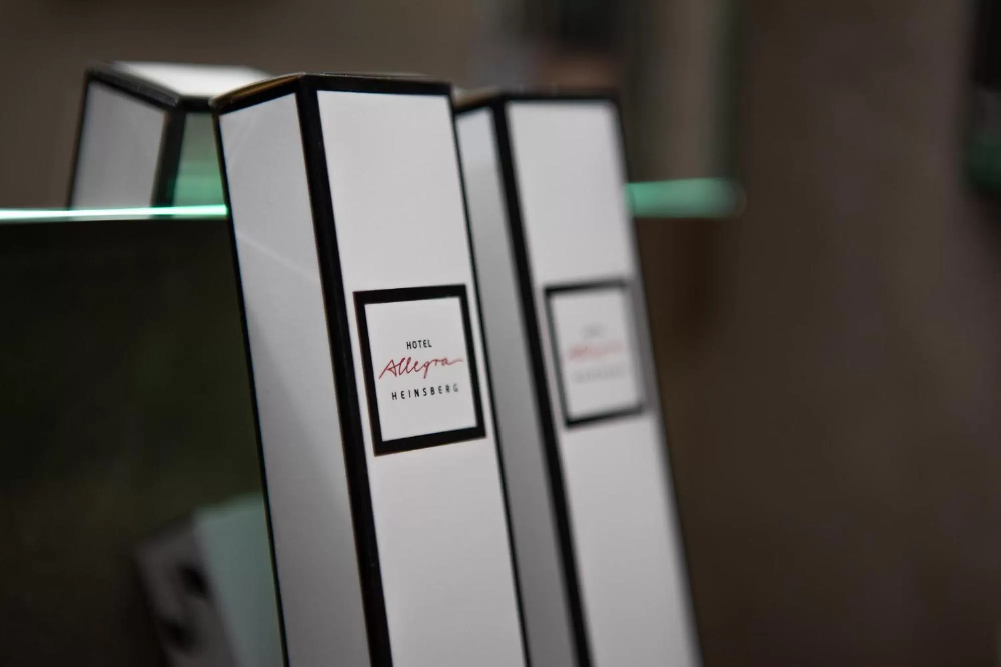 Other in Hotel Allegra