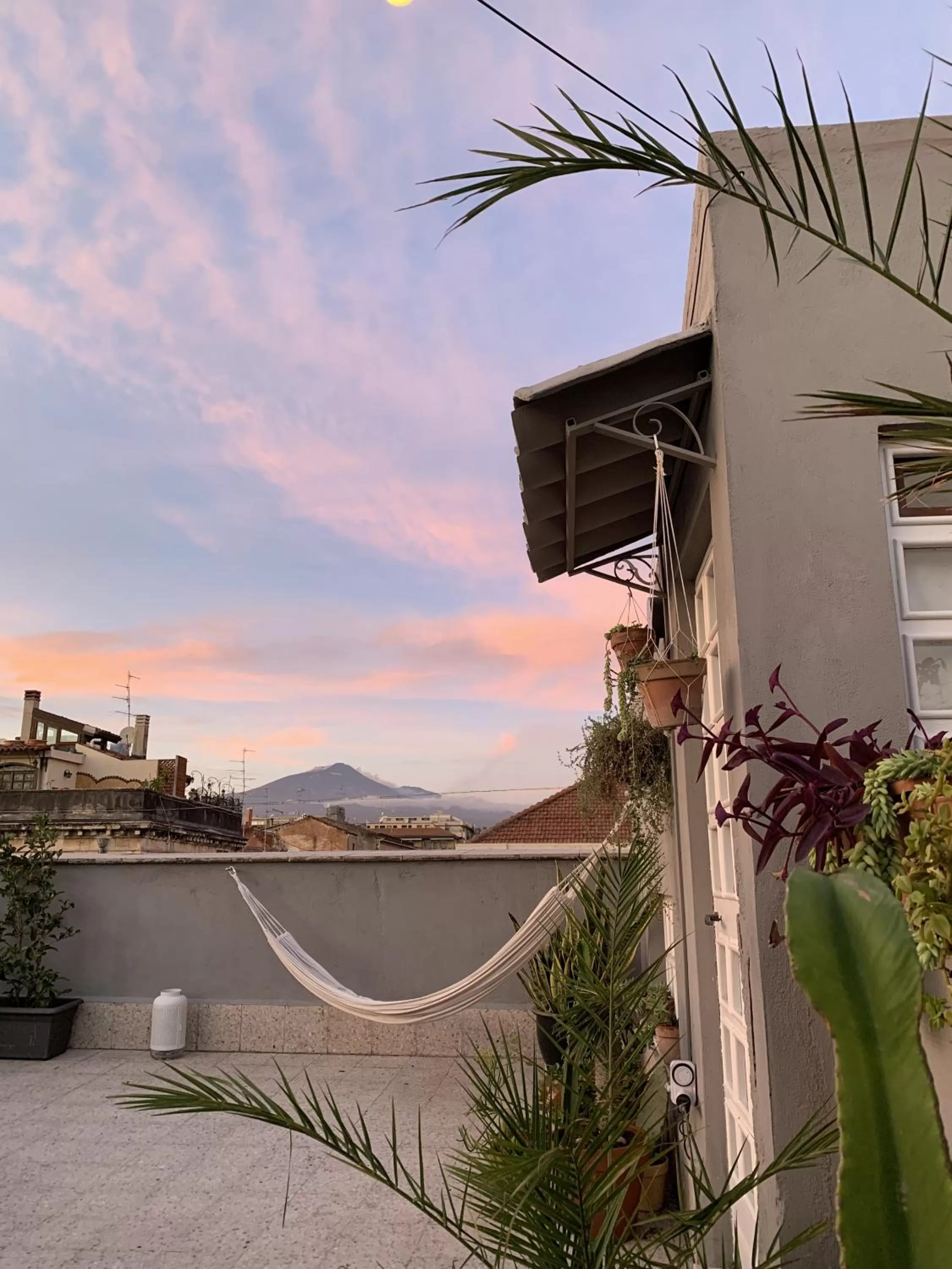 Property building in HOMESTAY rooftop