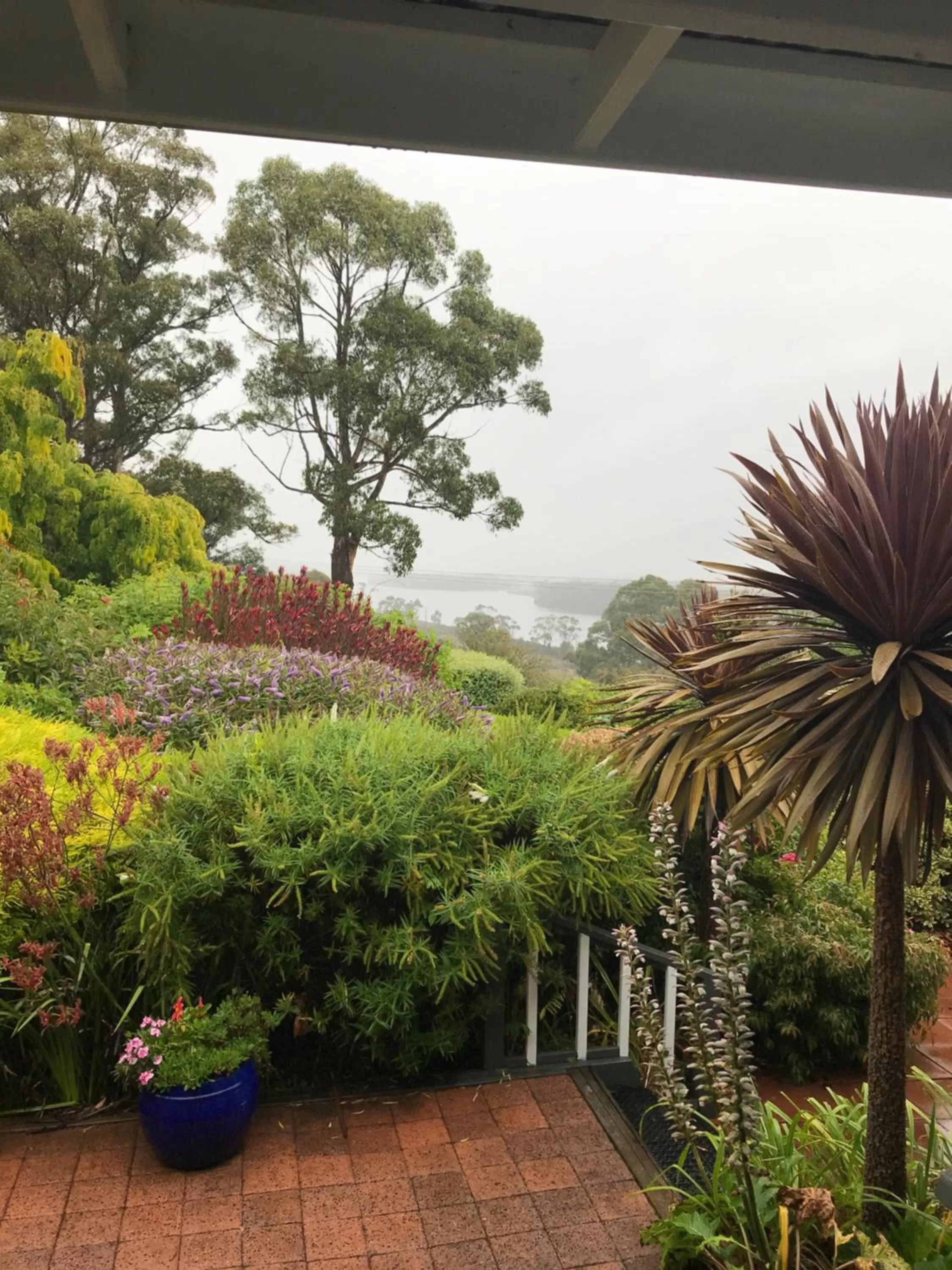 Hillside Bed and Breakfast