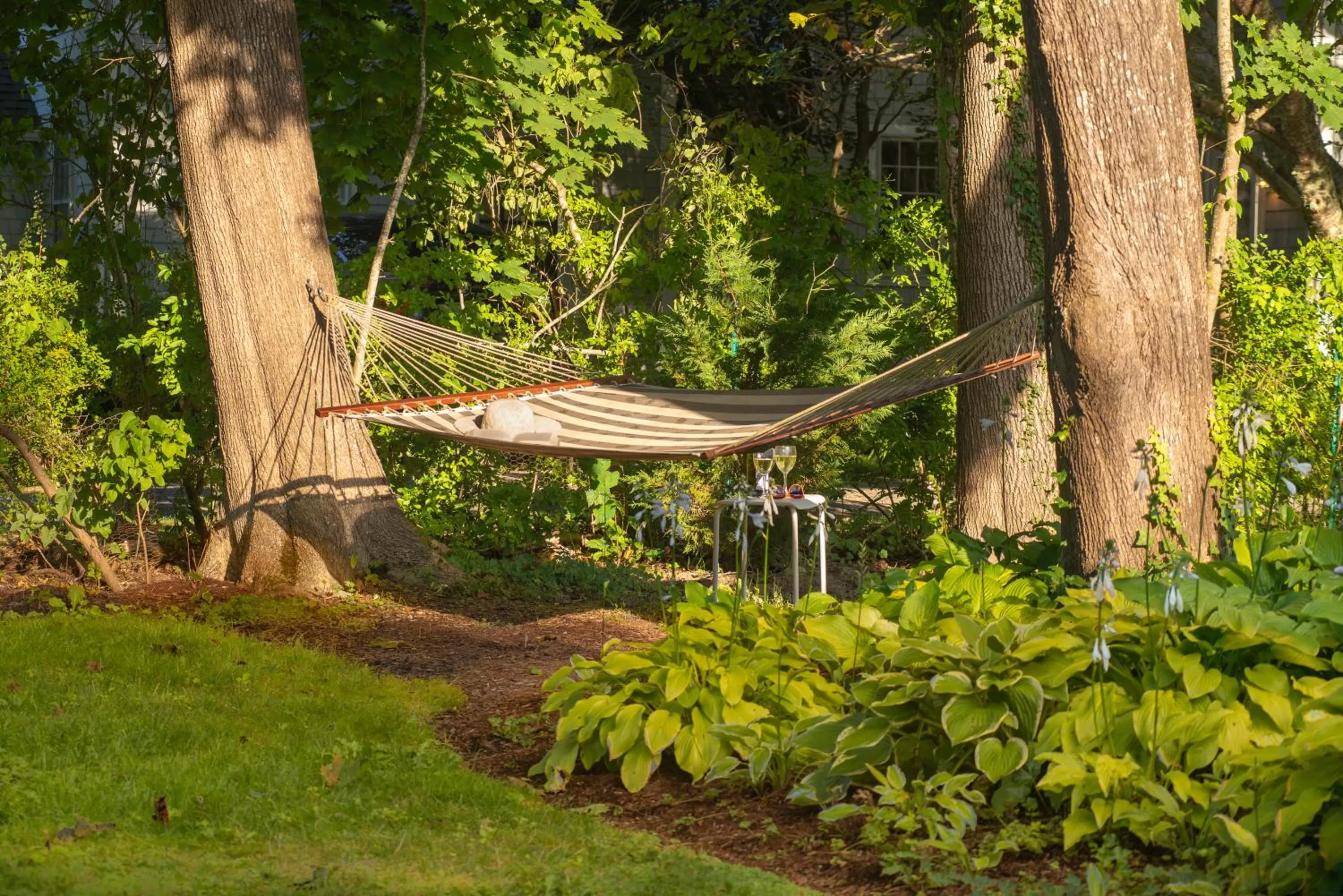 Garden in Village Inn