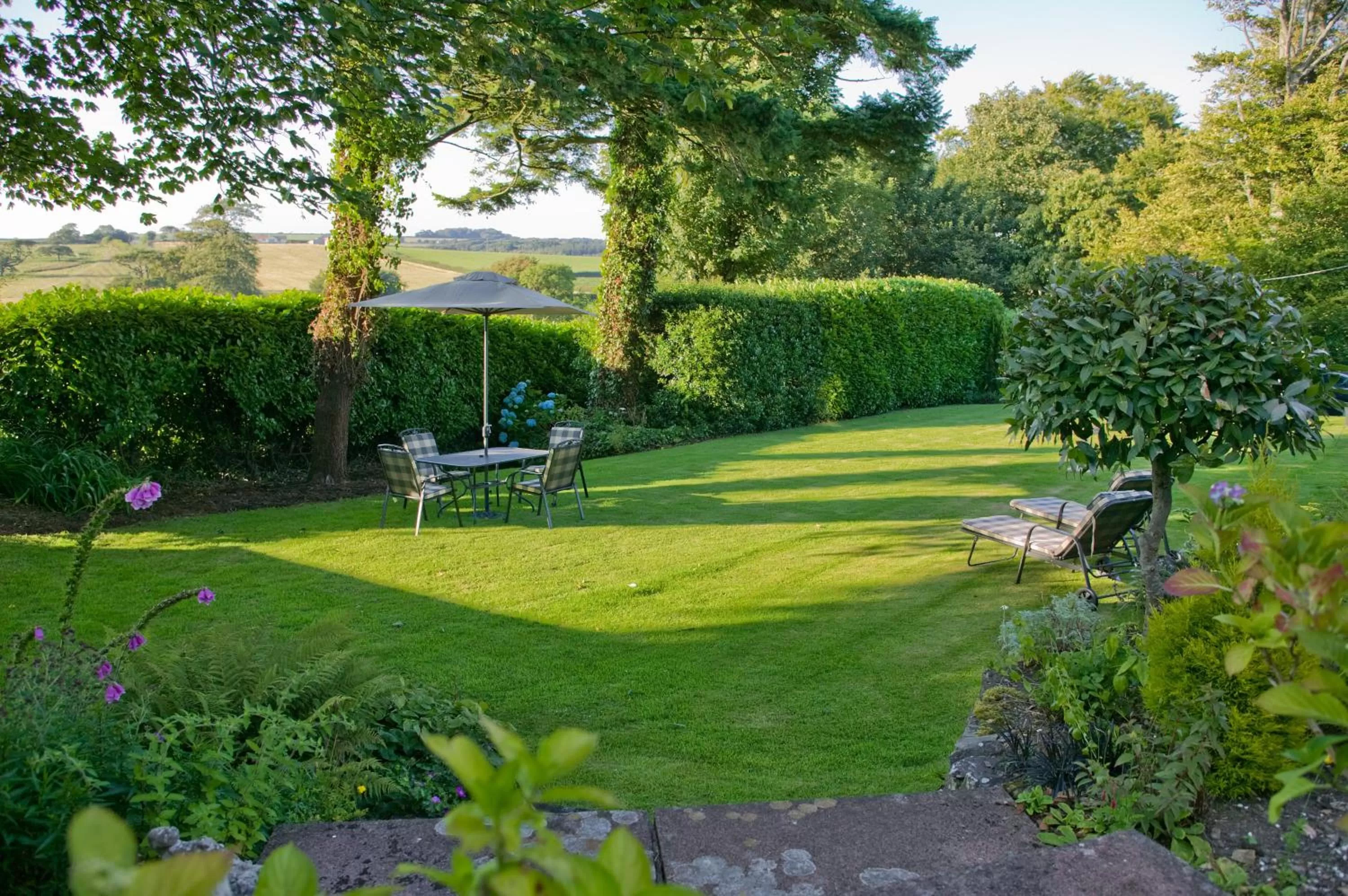 Natural landscape in The Spinney