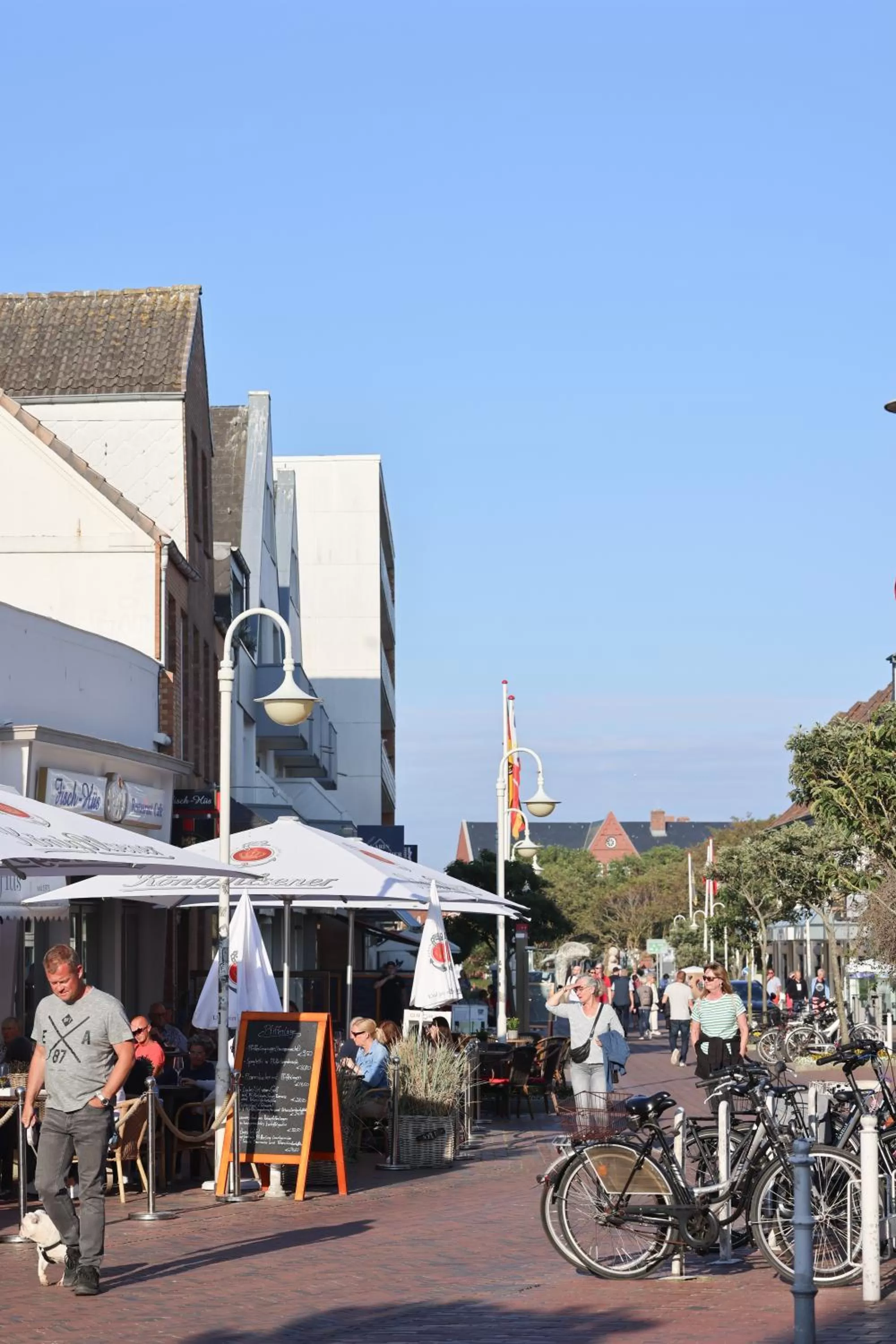 Entertainment in Mimosa Hotel