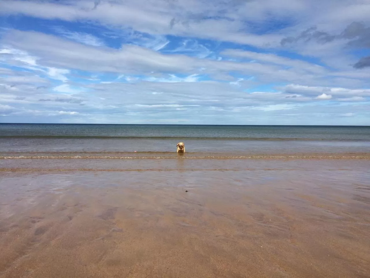 Natural landscape in No12 Bed and Breakfast, St Andrews