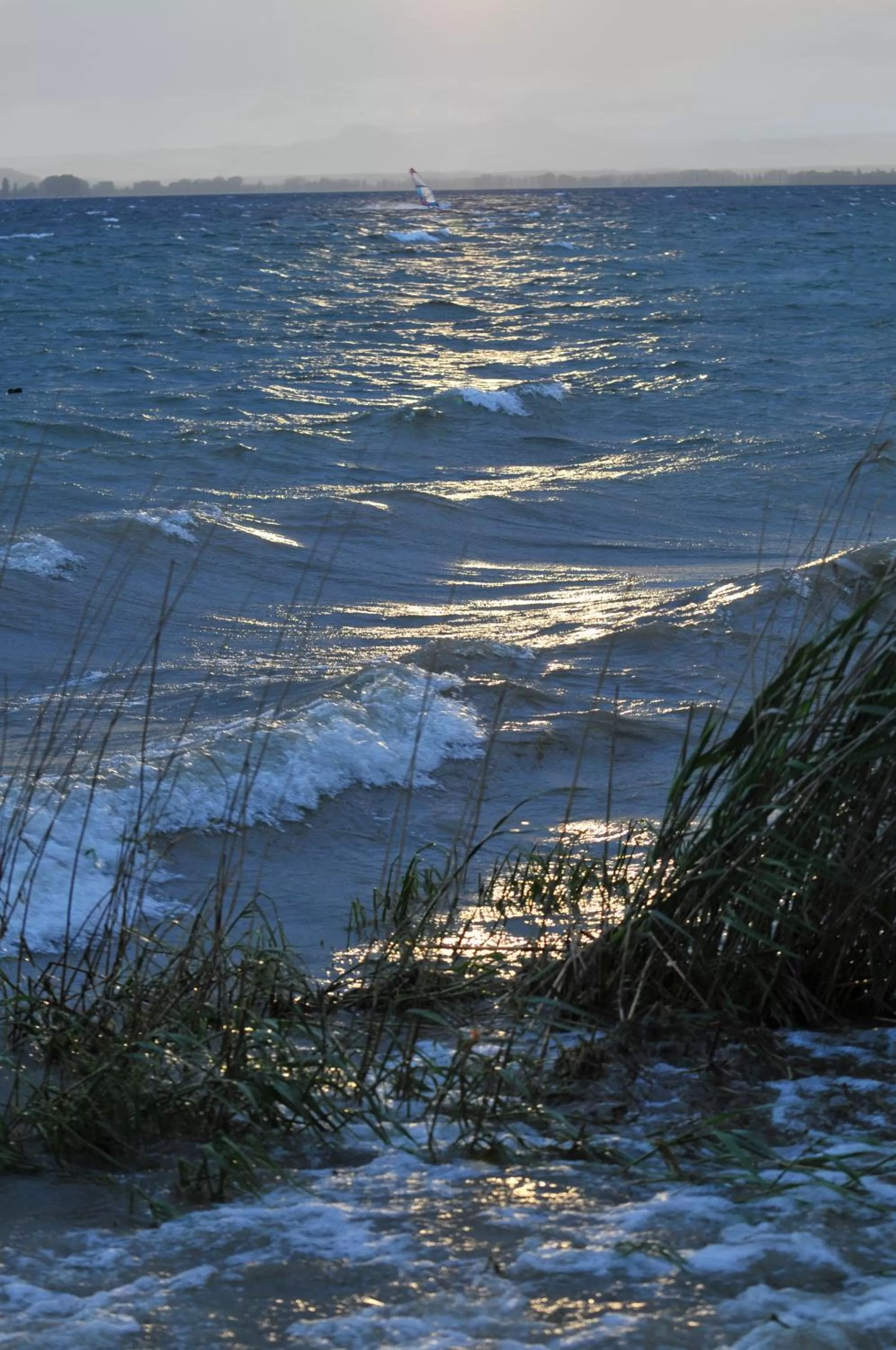 Natural landscape in Hotel mein inselglück