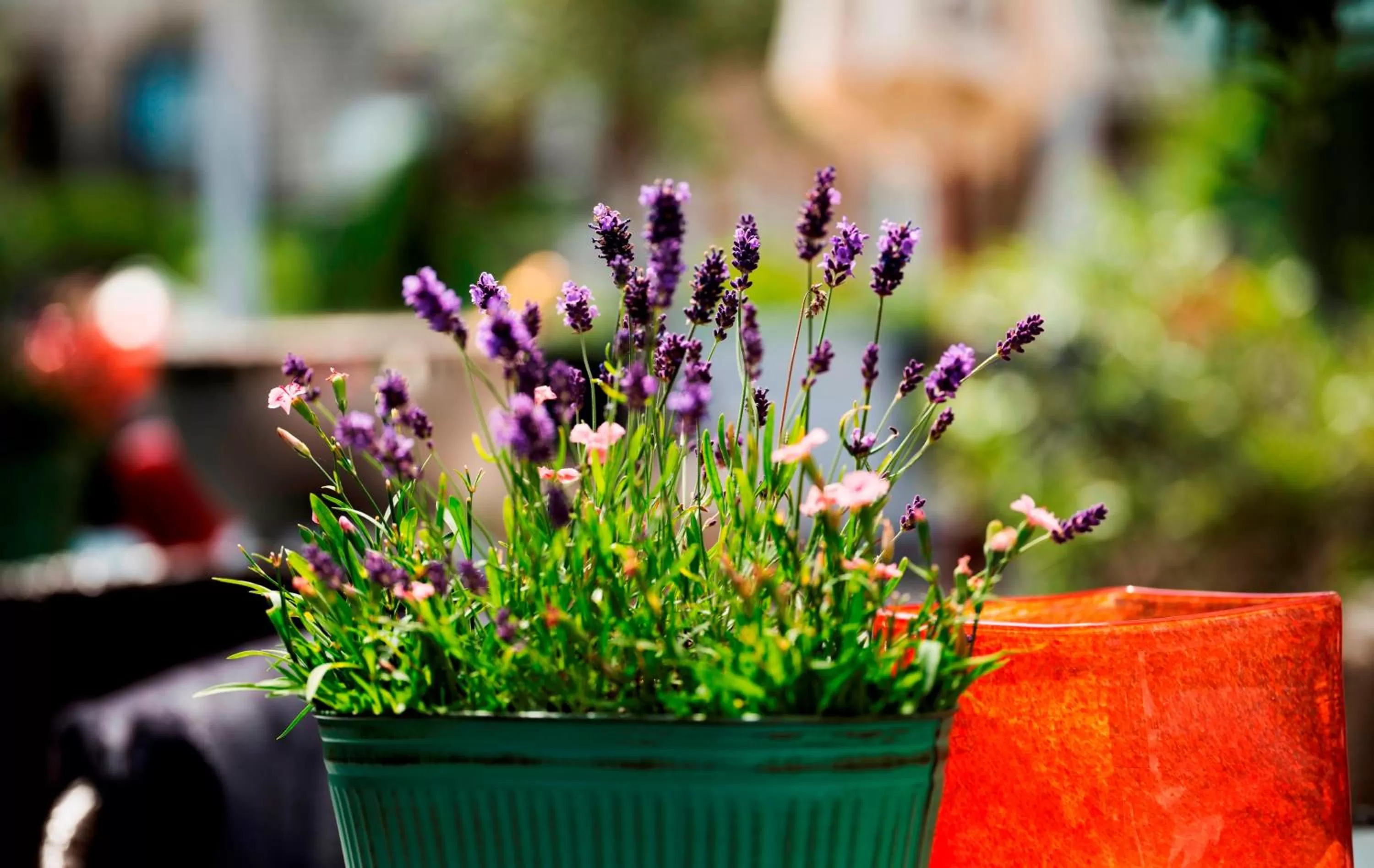 Spring in Relais & Châteaux Landhaus Stricker