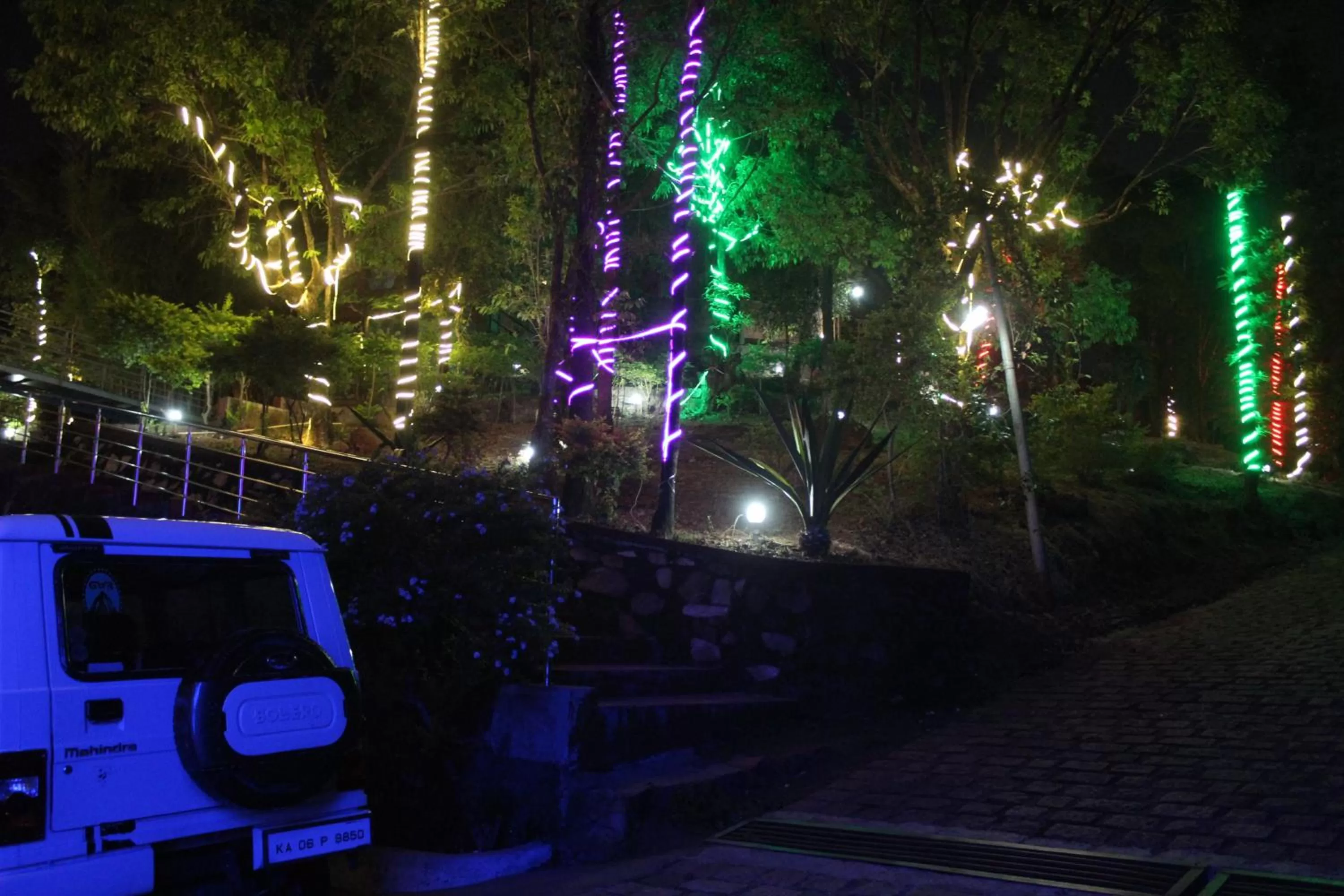 Night in Greenwood Resort