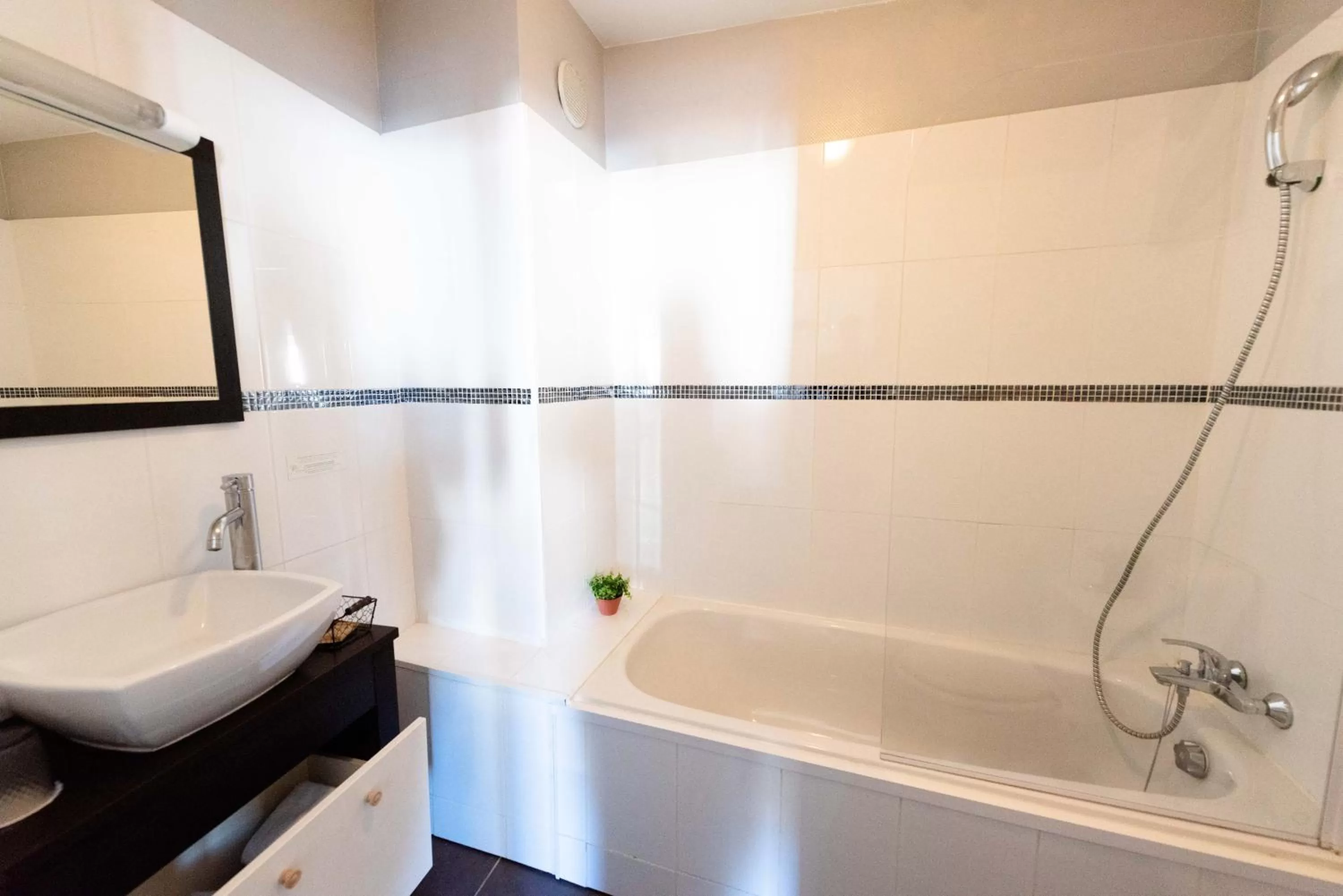 Shower in Hôtel Le Lion D'or