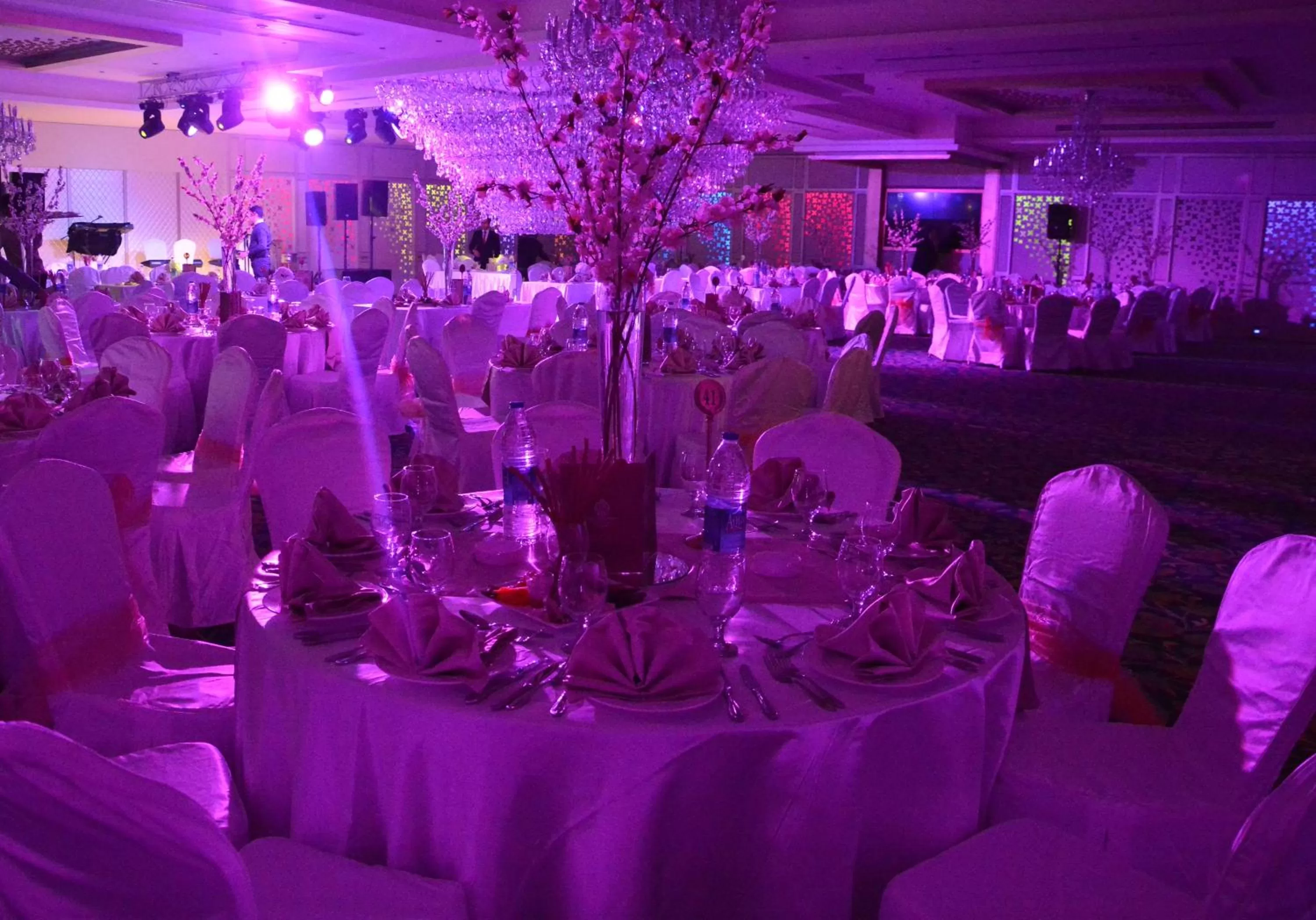 wedding, Banquet Facilities in Harir Palace Hotel