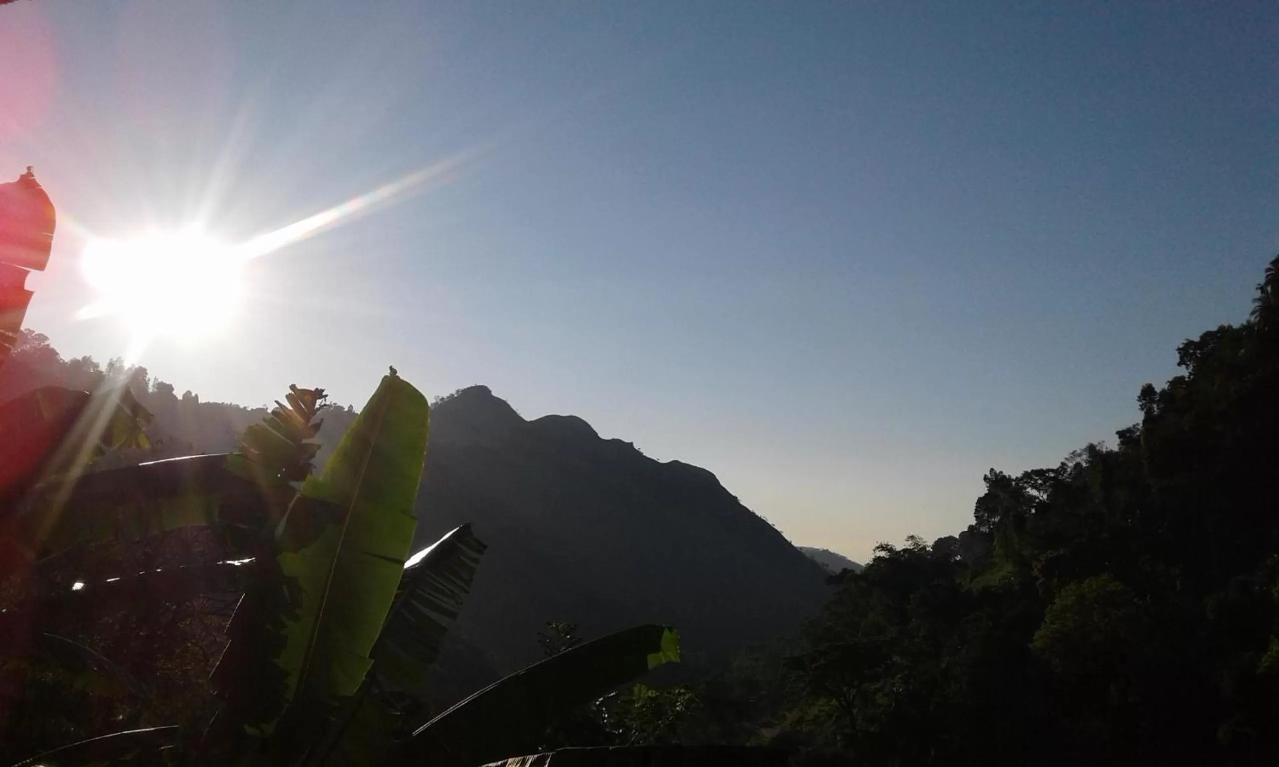 Ella Lucky Panoramic