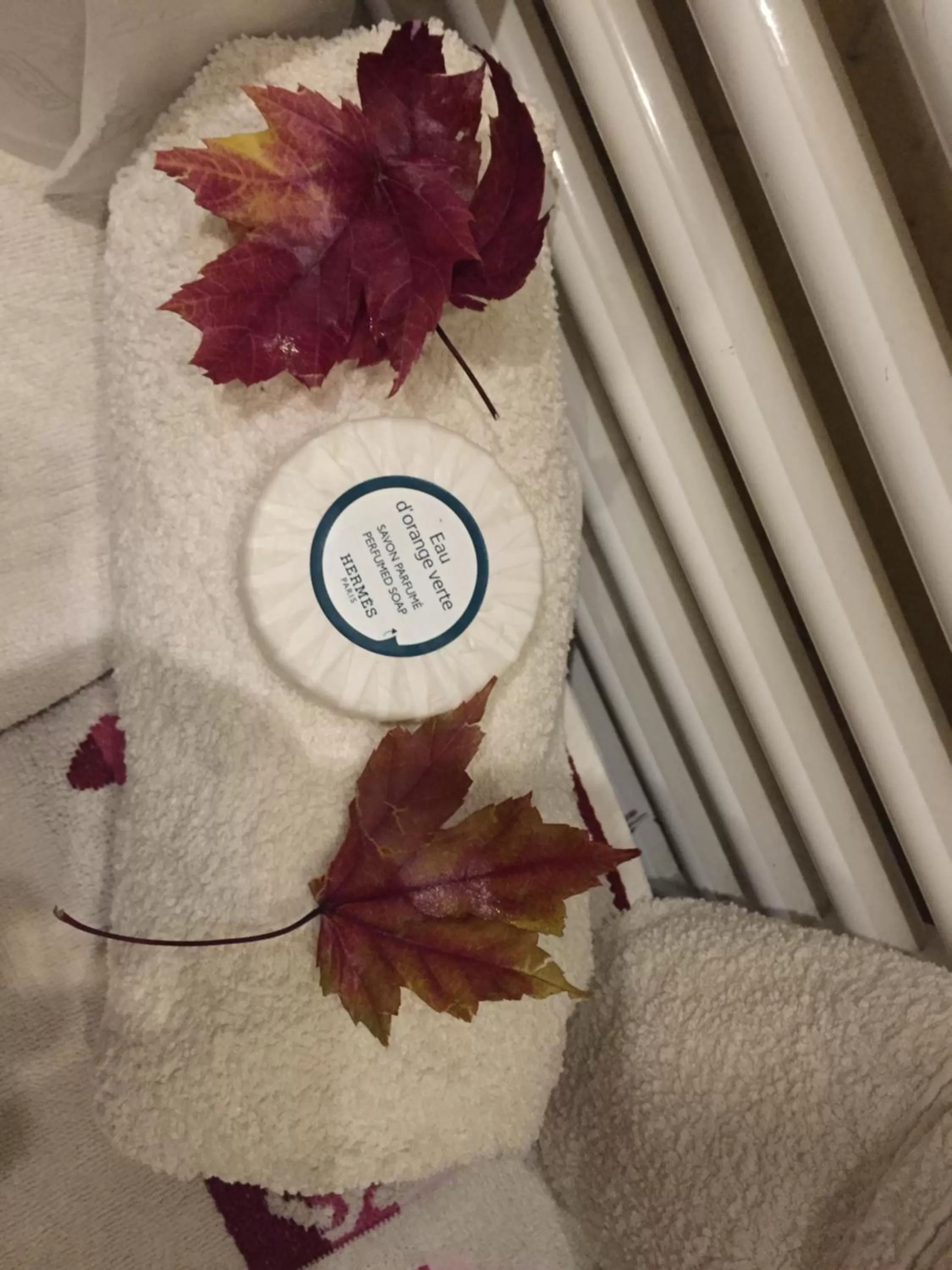 Chambre et sa salle de bain privée cocooning labellisée