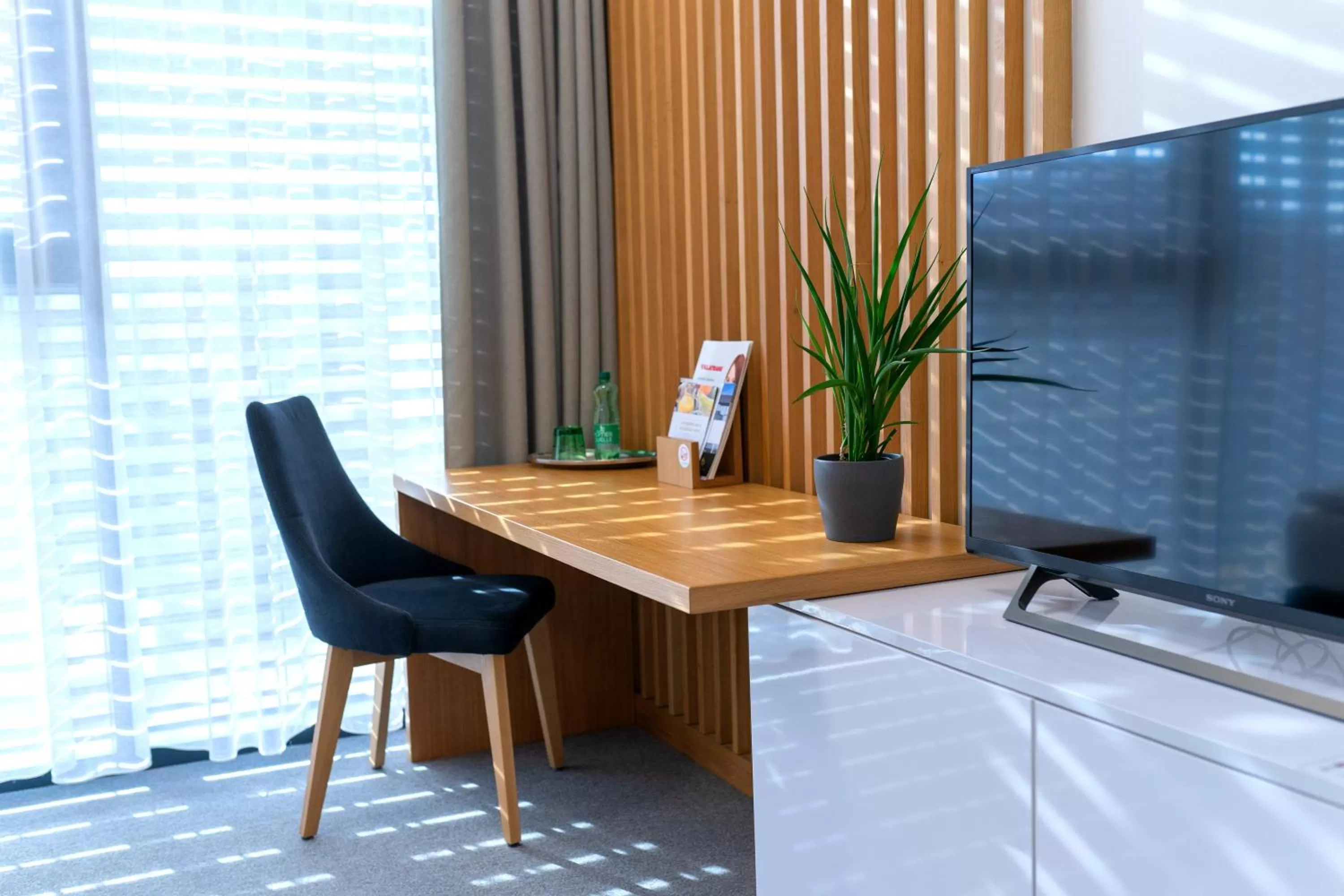 TV/Entertainment Center in Hotel Smetanova