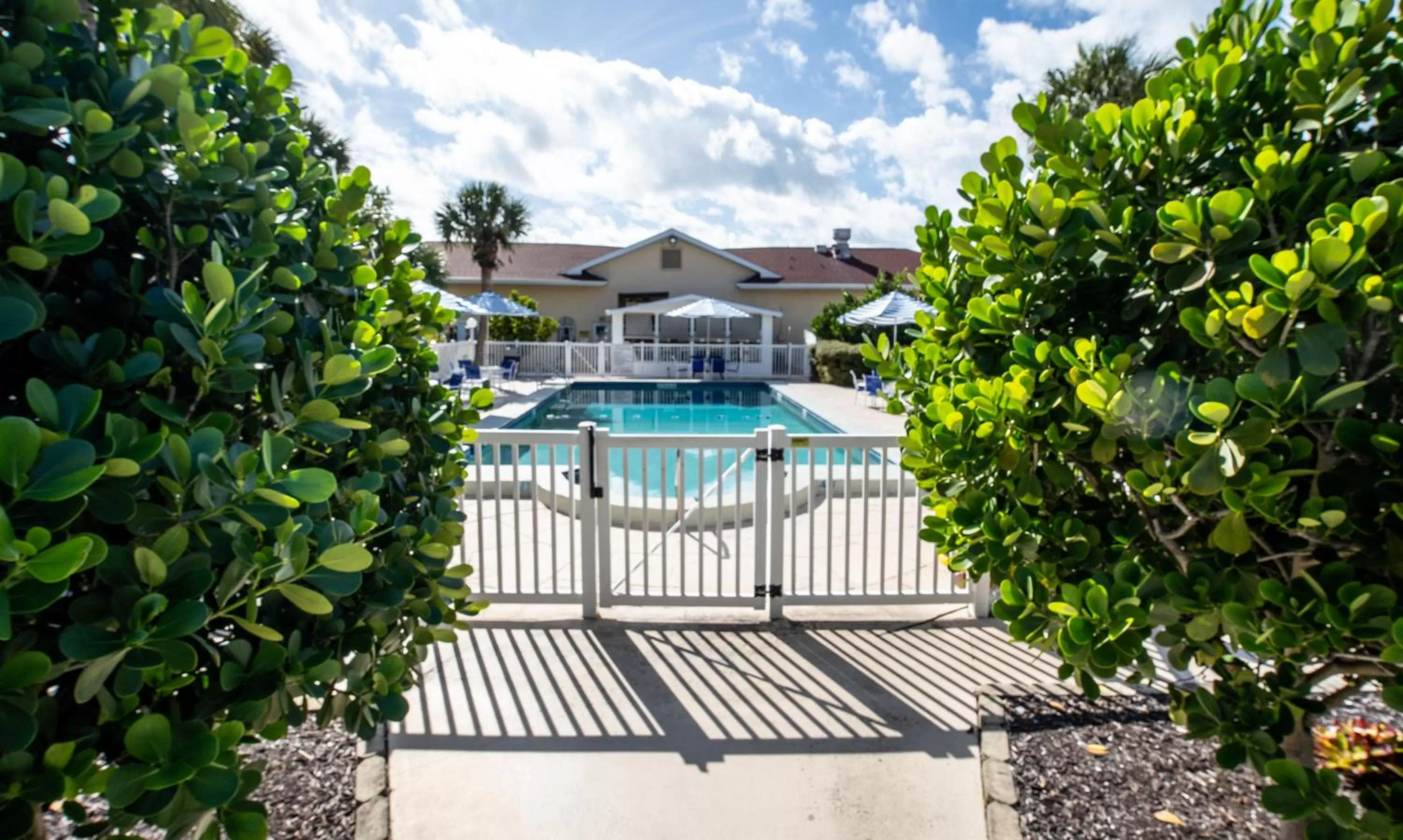 Pool view in Island Sun Inn & Suites - Venice, Florida Historic Downtown & Beach Getaway