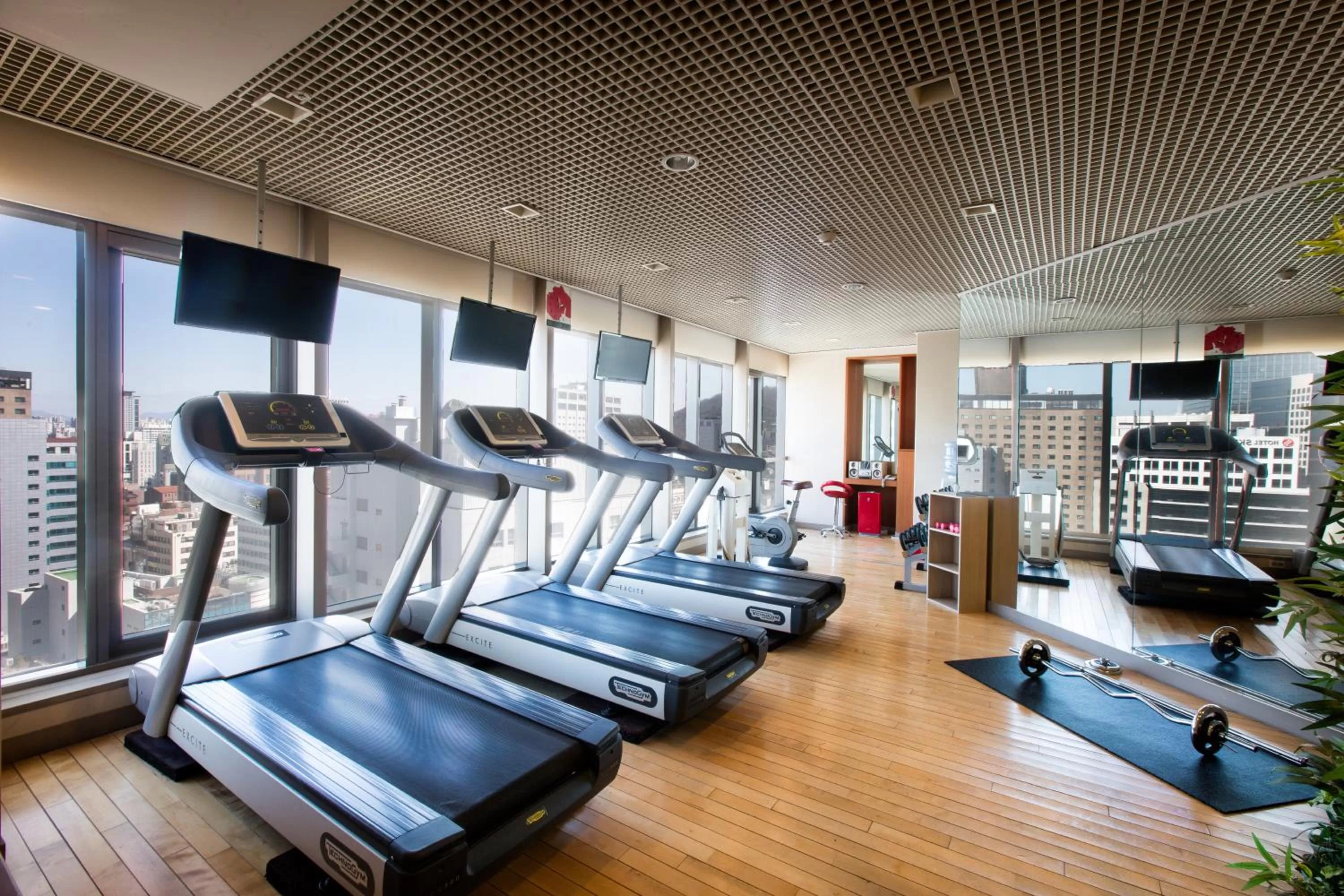 Fitness centre/facilities in Ibis Ambassador Myeongdong