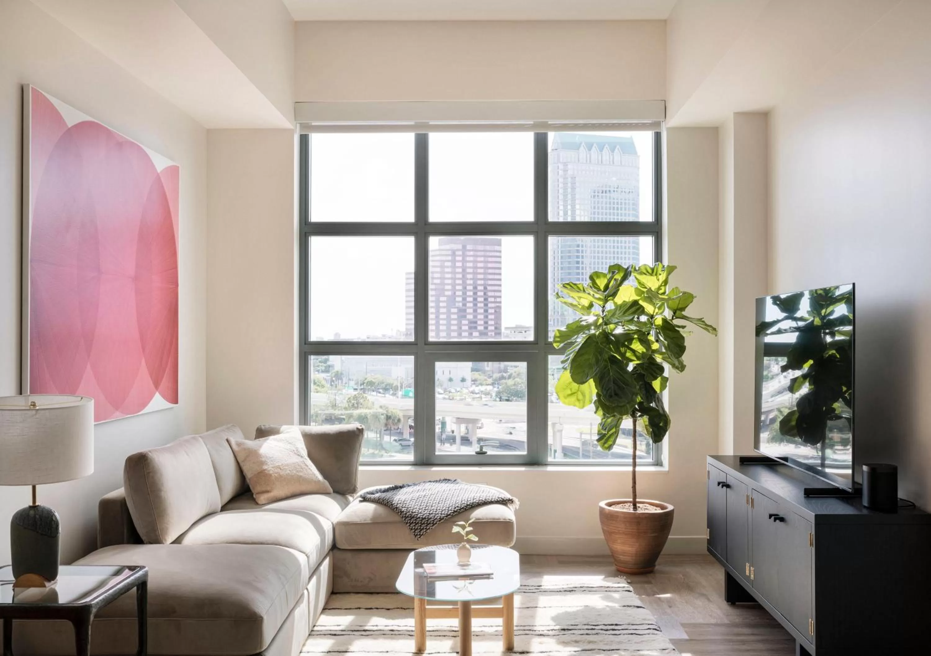 TV and multimedia in ROOST Tampa