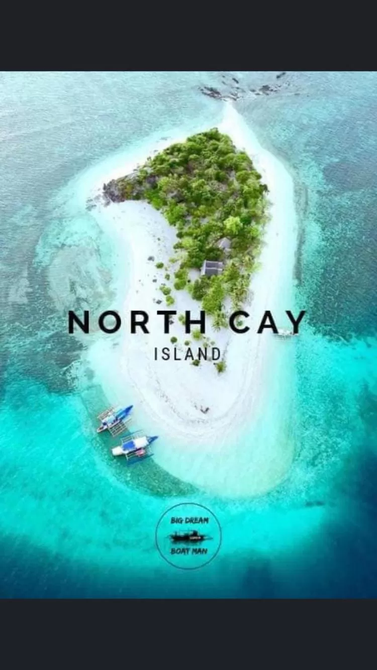 Sanctuaria Treehouses Busuanga