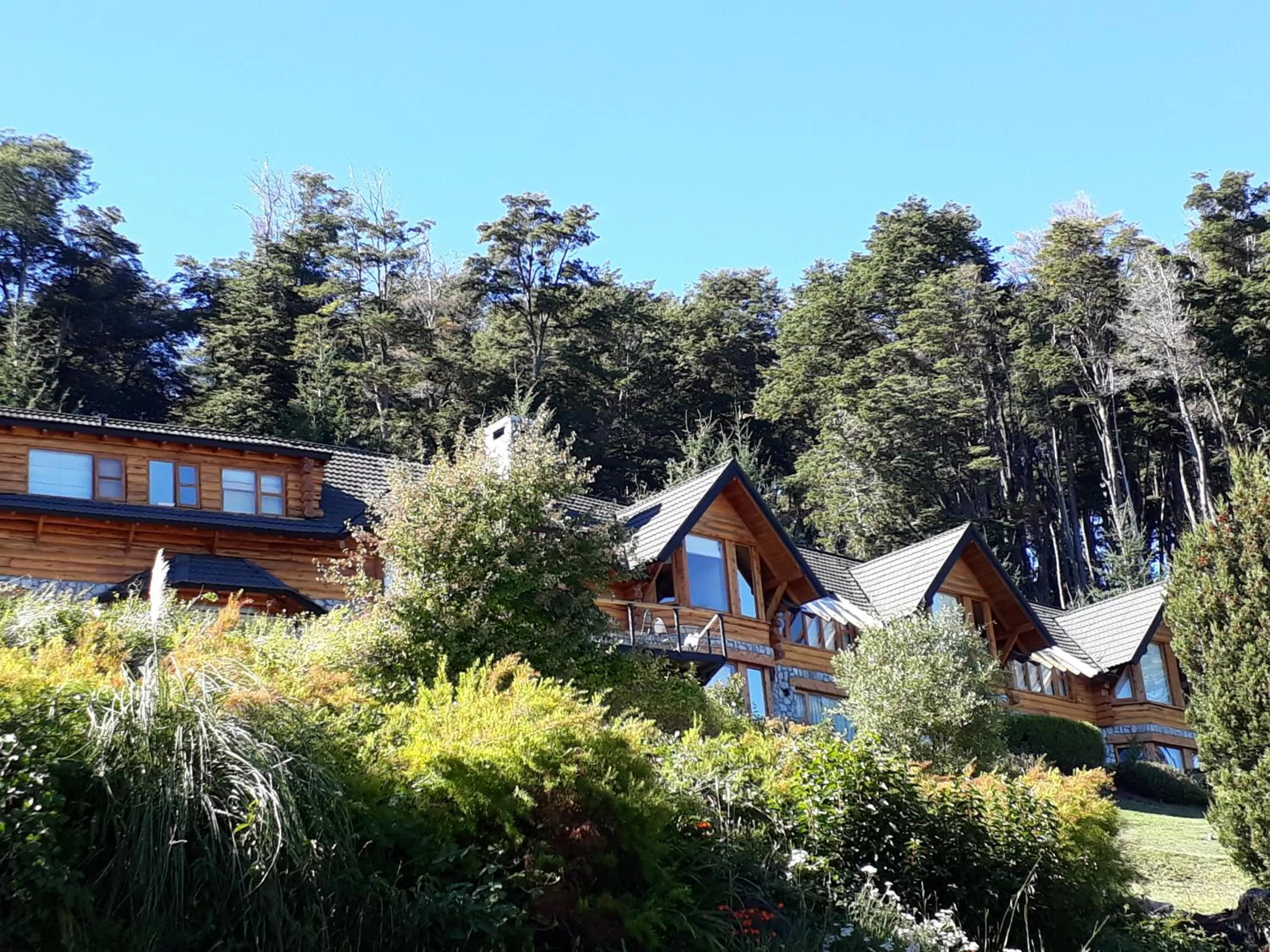 Property Building in Amigos del Bosque