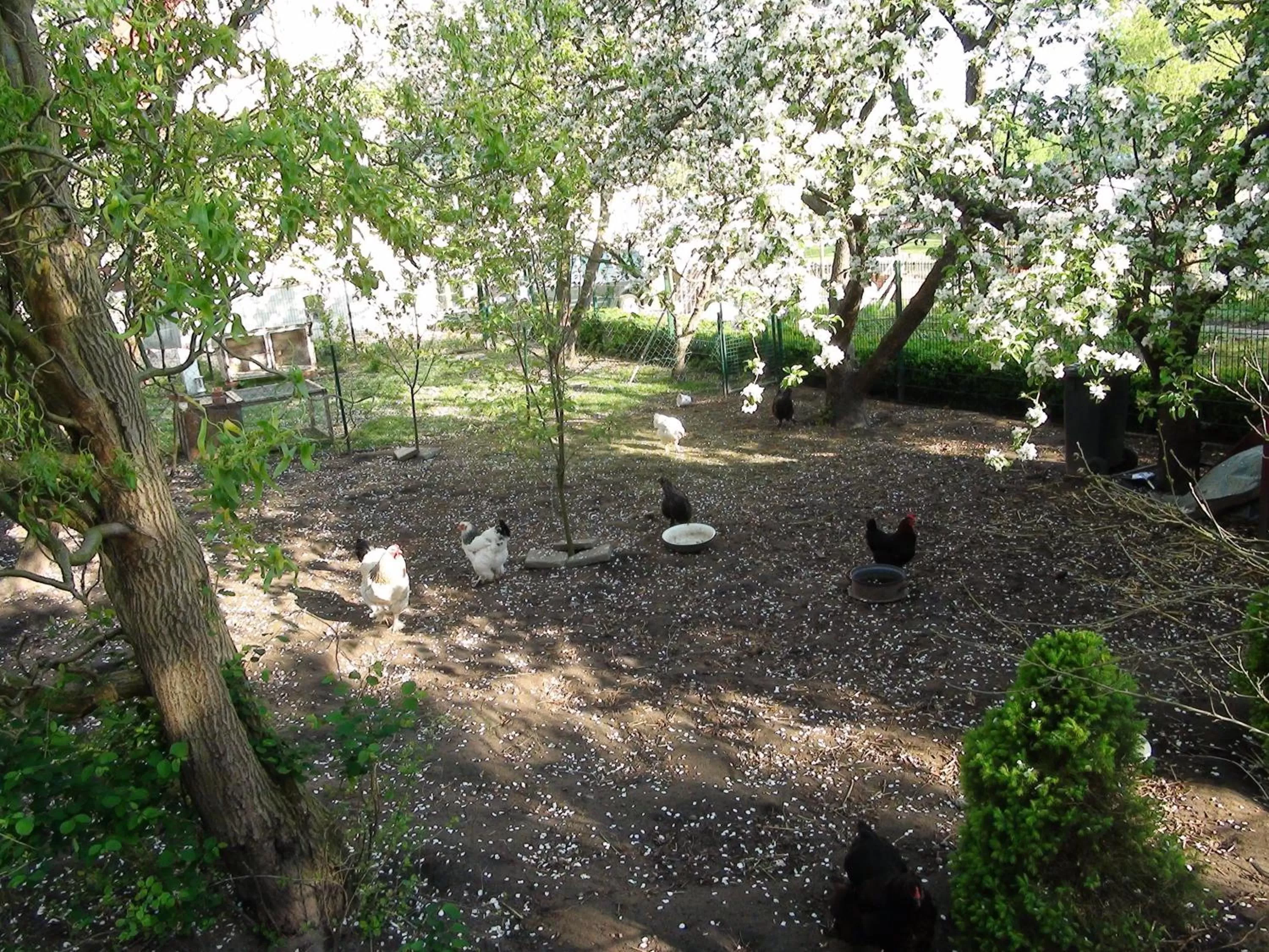 Spring in B&B Mühlenvilla am Bützower Hafen