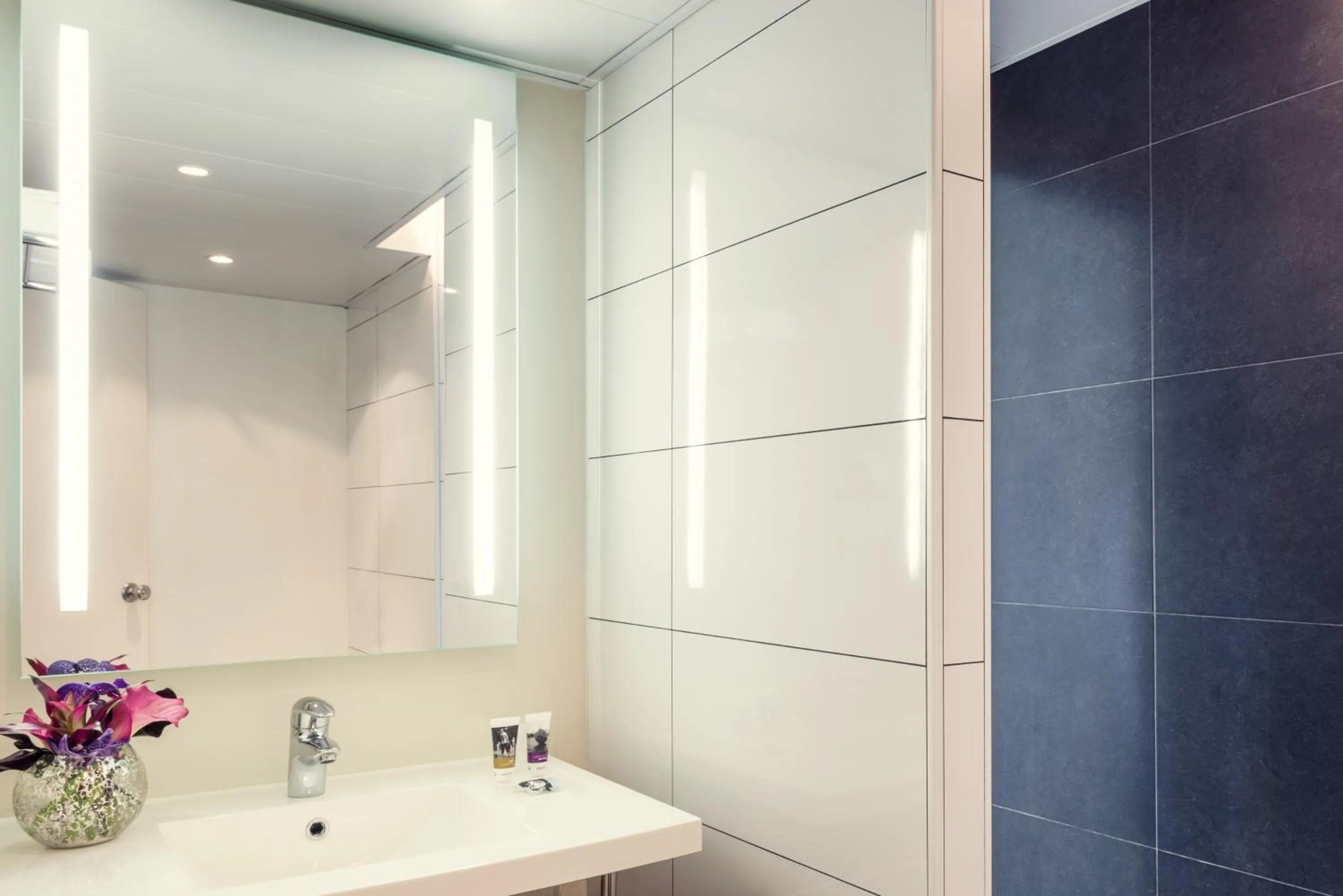 Shower in Mercure Paris Porte d'Orleans