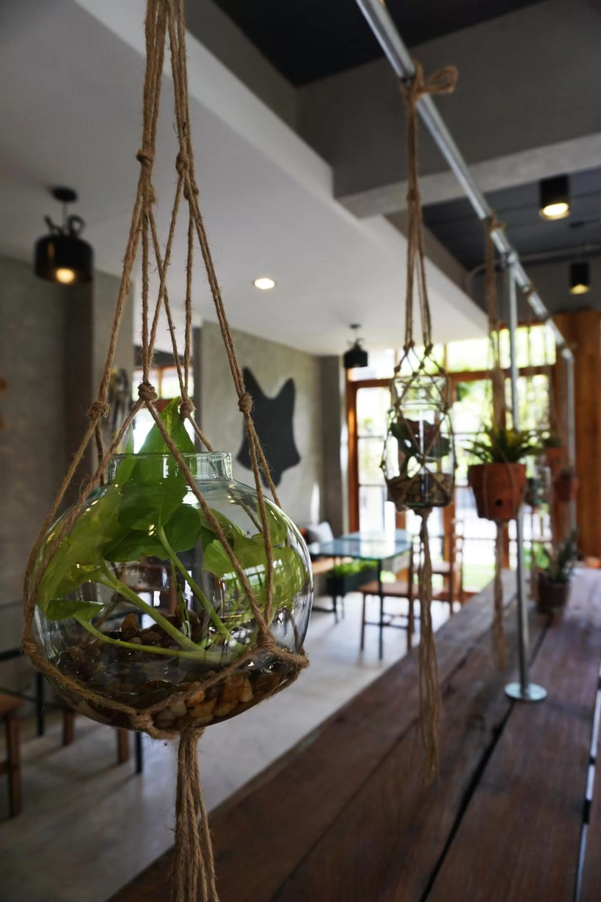 Decorative detail, Patio/Outdoor Area in Hansa Bangkok House