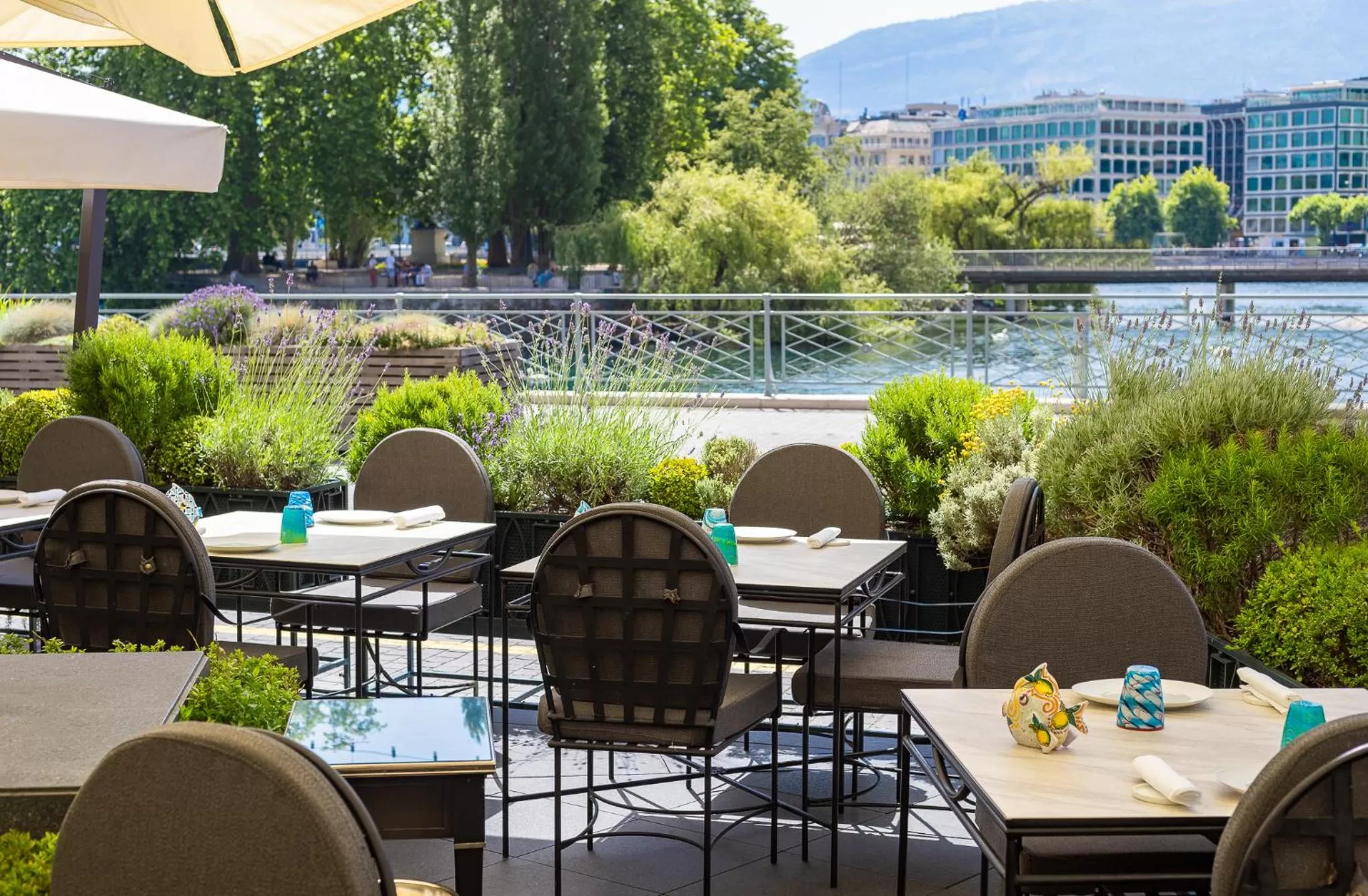 Restaurant/places to eat in Four Seasons Hotel des Bergues Geneva